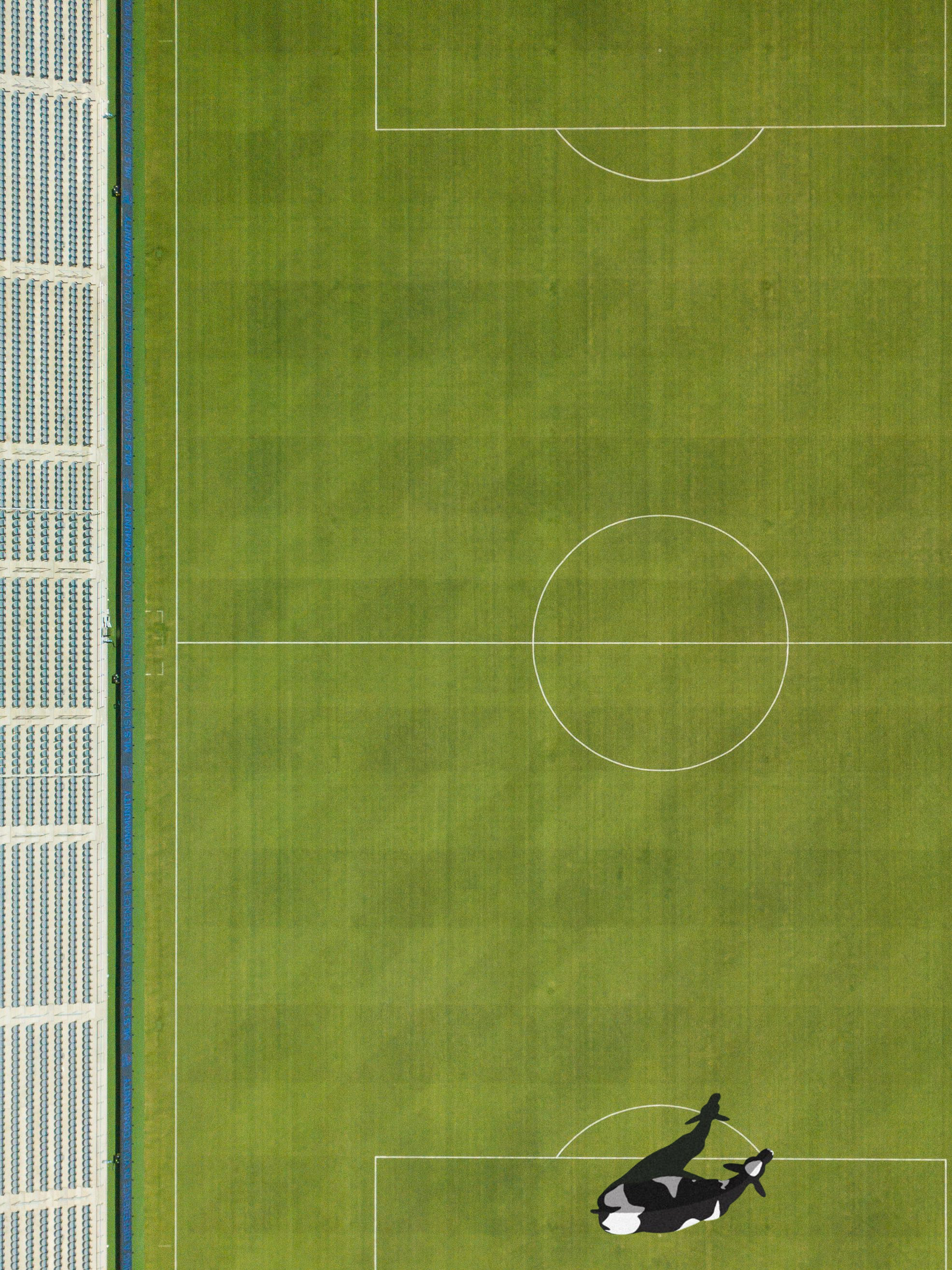 Cowlkeeper Artifact 2/5