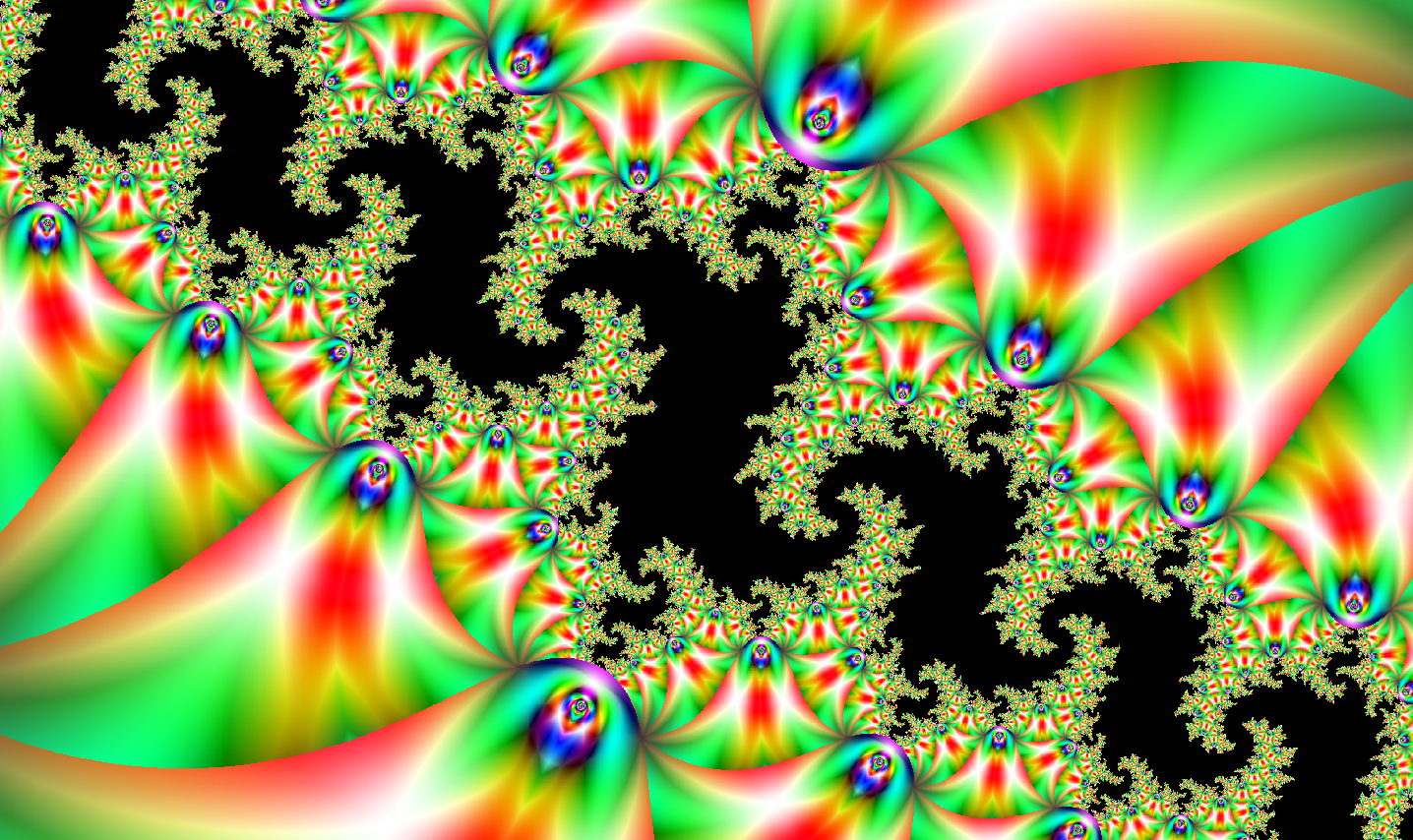 #41 - everybodyconga