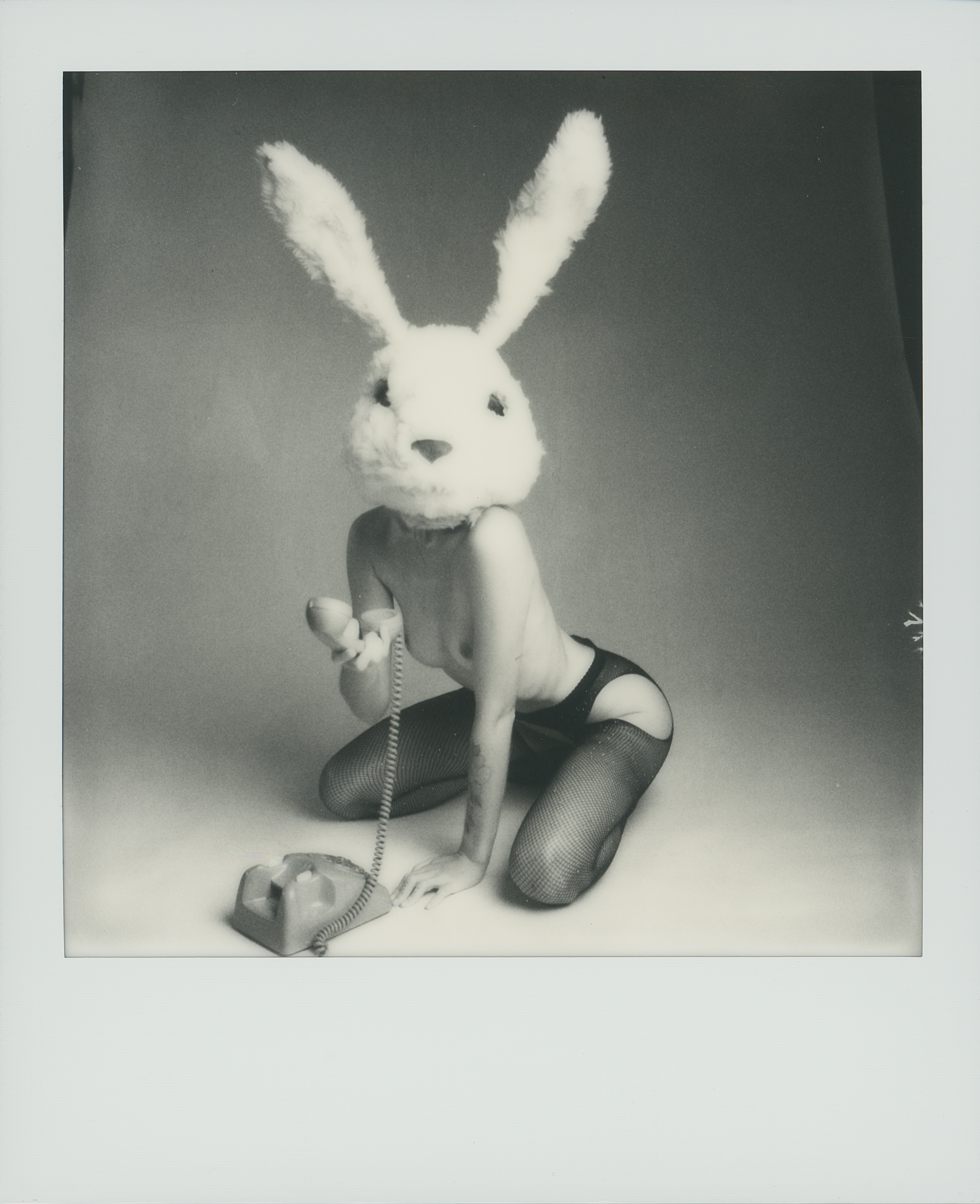 Down the rabbit hole