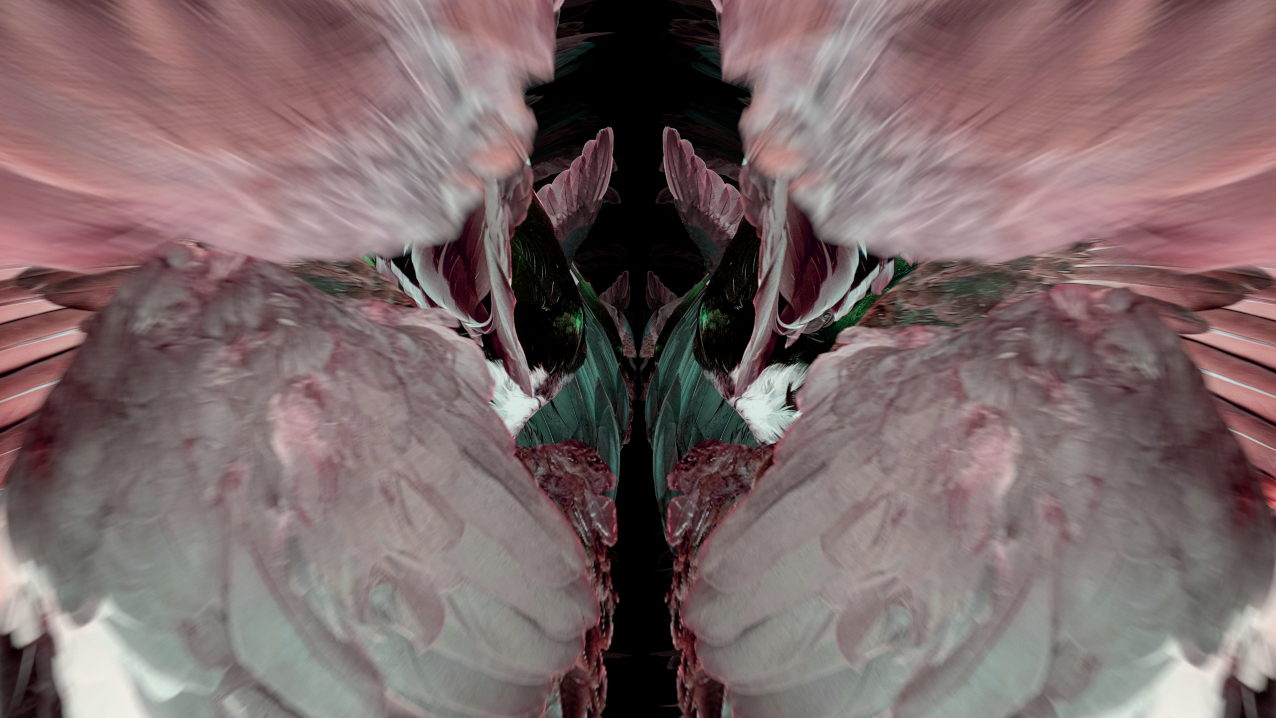 Fuga delle Sirene XLIX