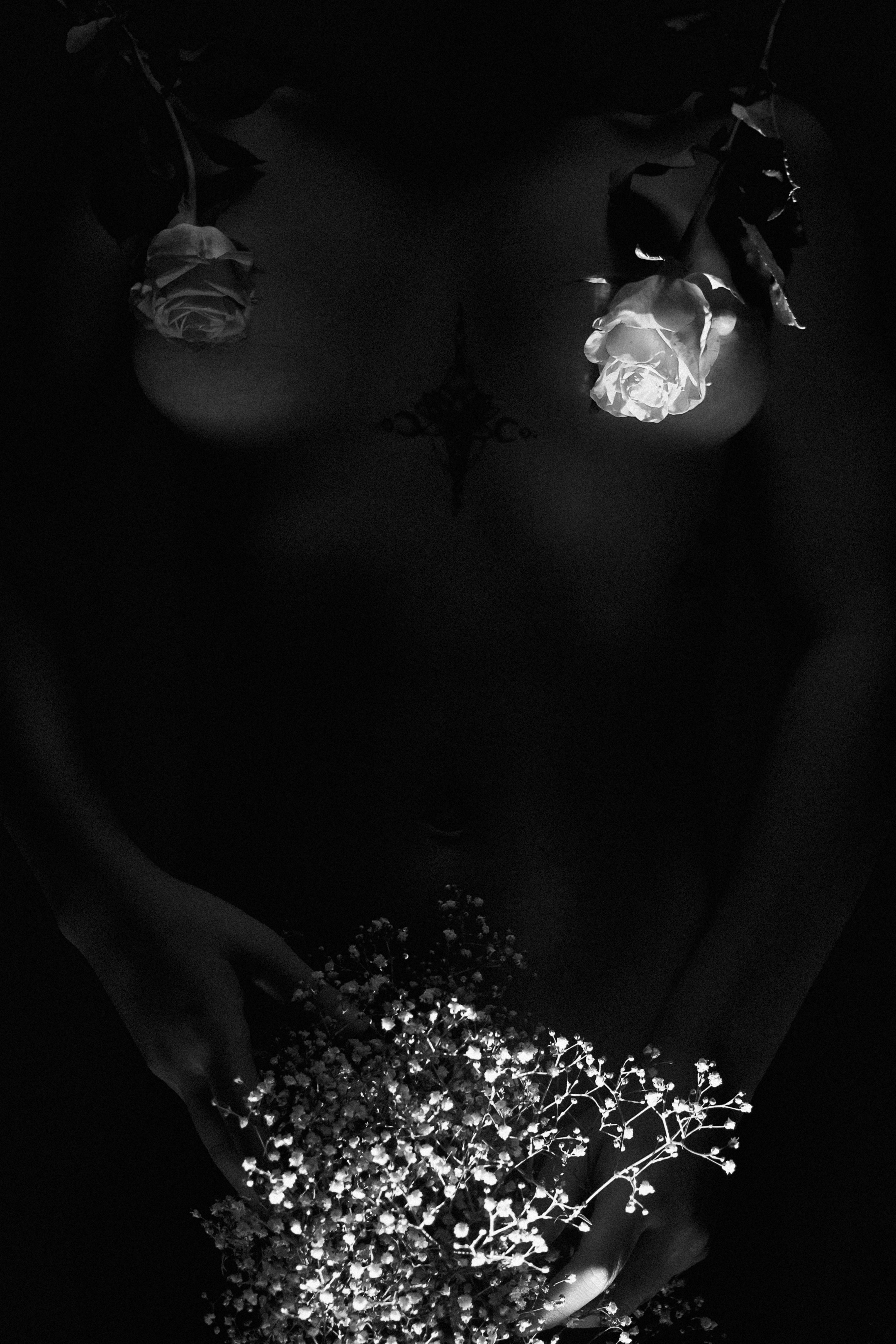 Shadowplay #6 - Blooming