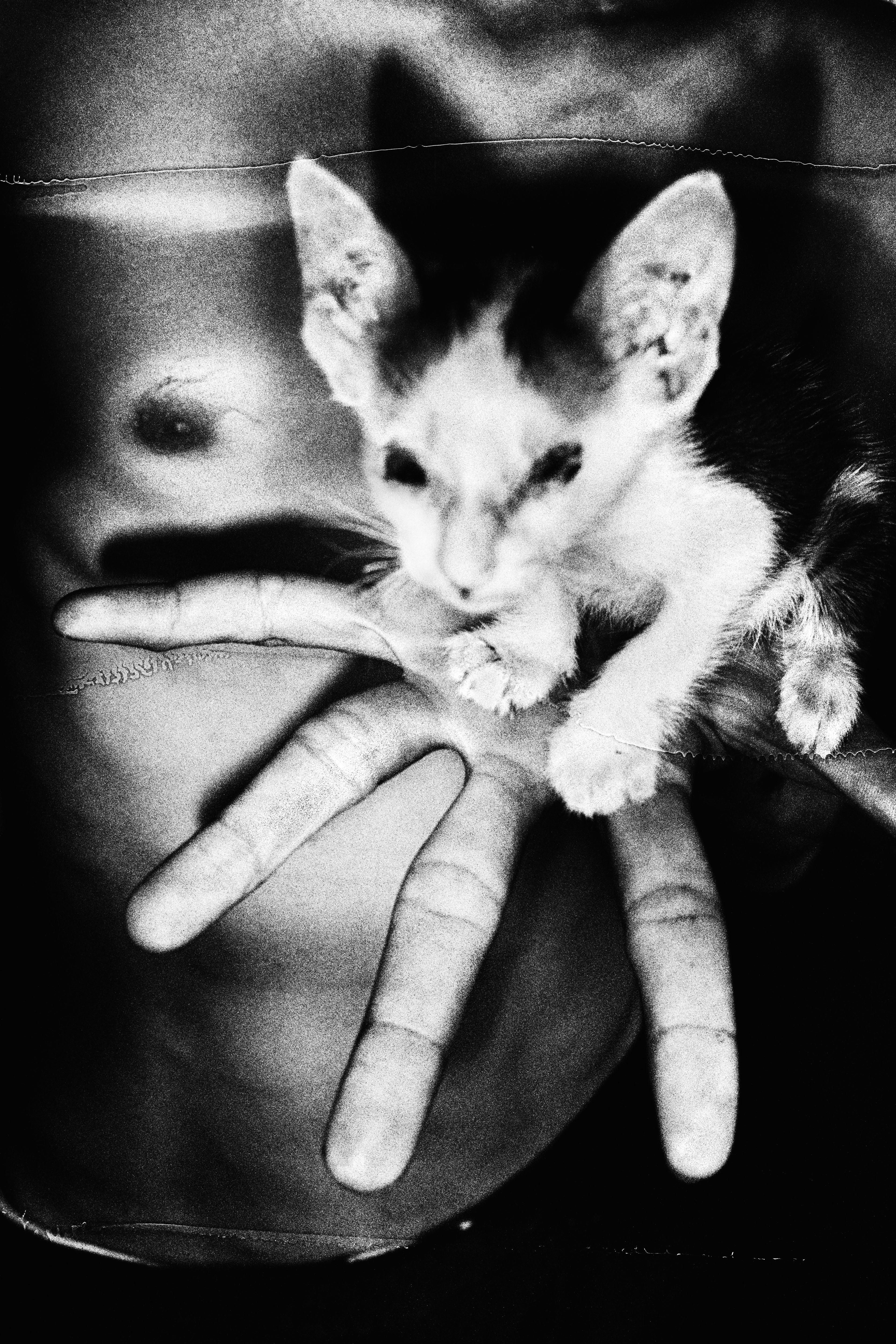 Magnum 75 #50 by Jacob Aue Sobol. Bangkok, Thailand, 2008.