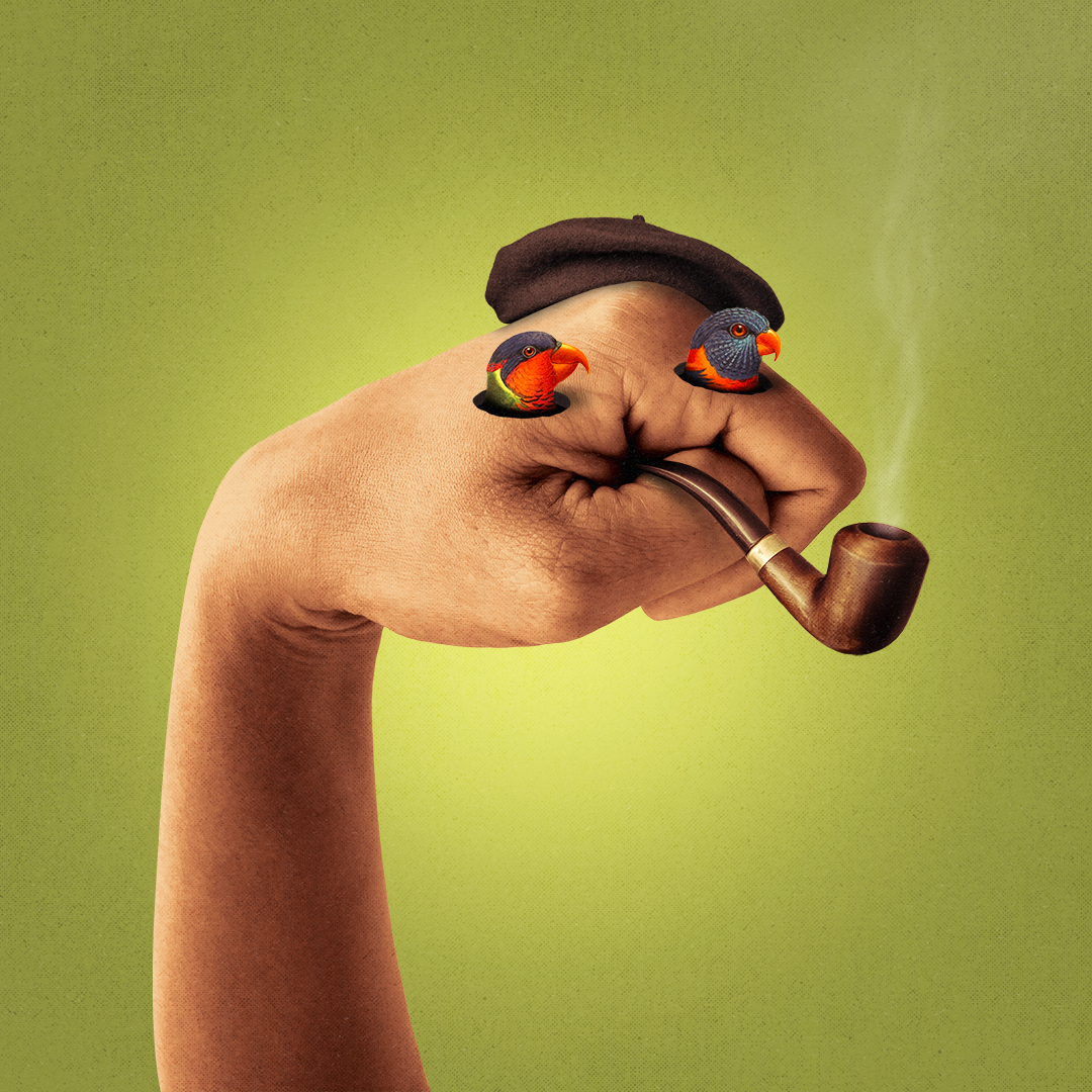 HandJab #336
