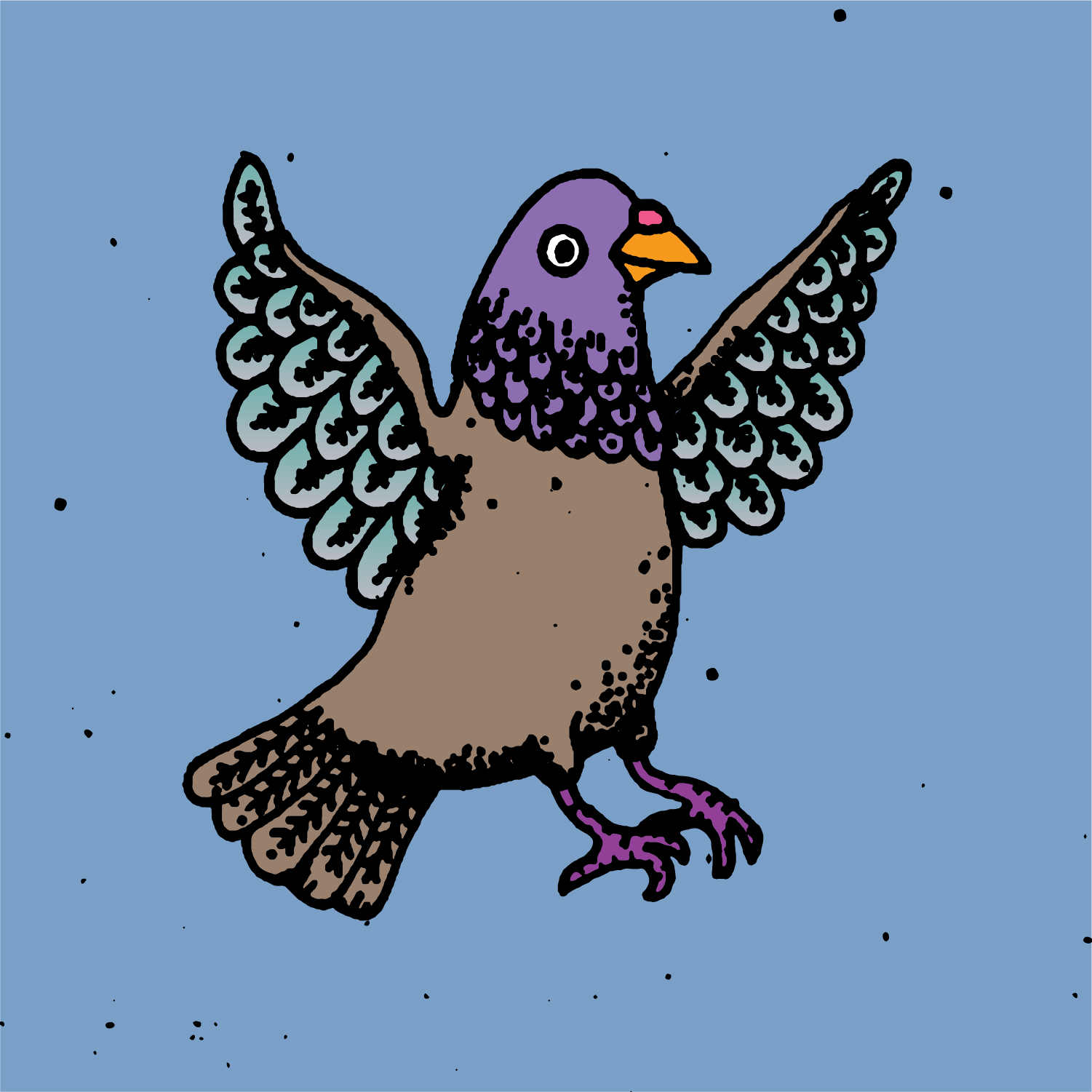 Hood Pigeon #898