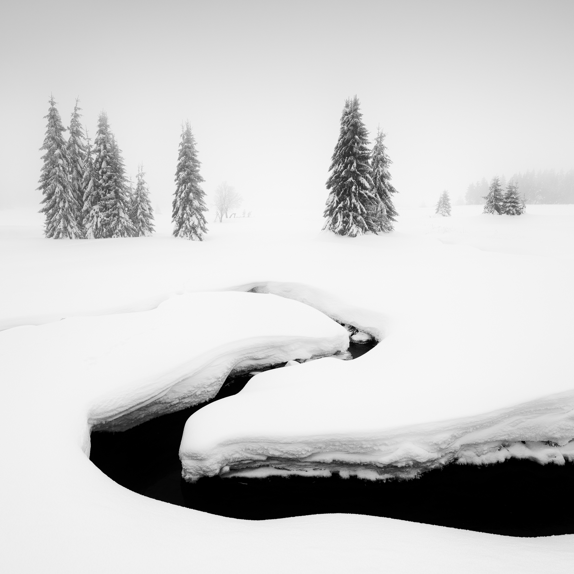Sound of Silence #11