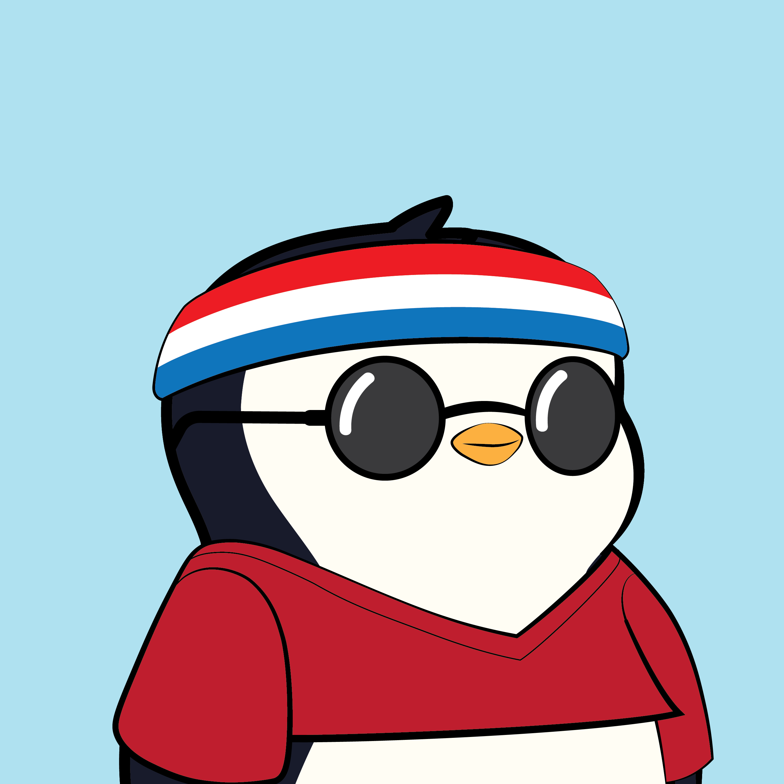 Pudgy #8070