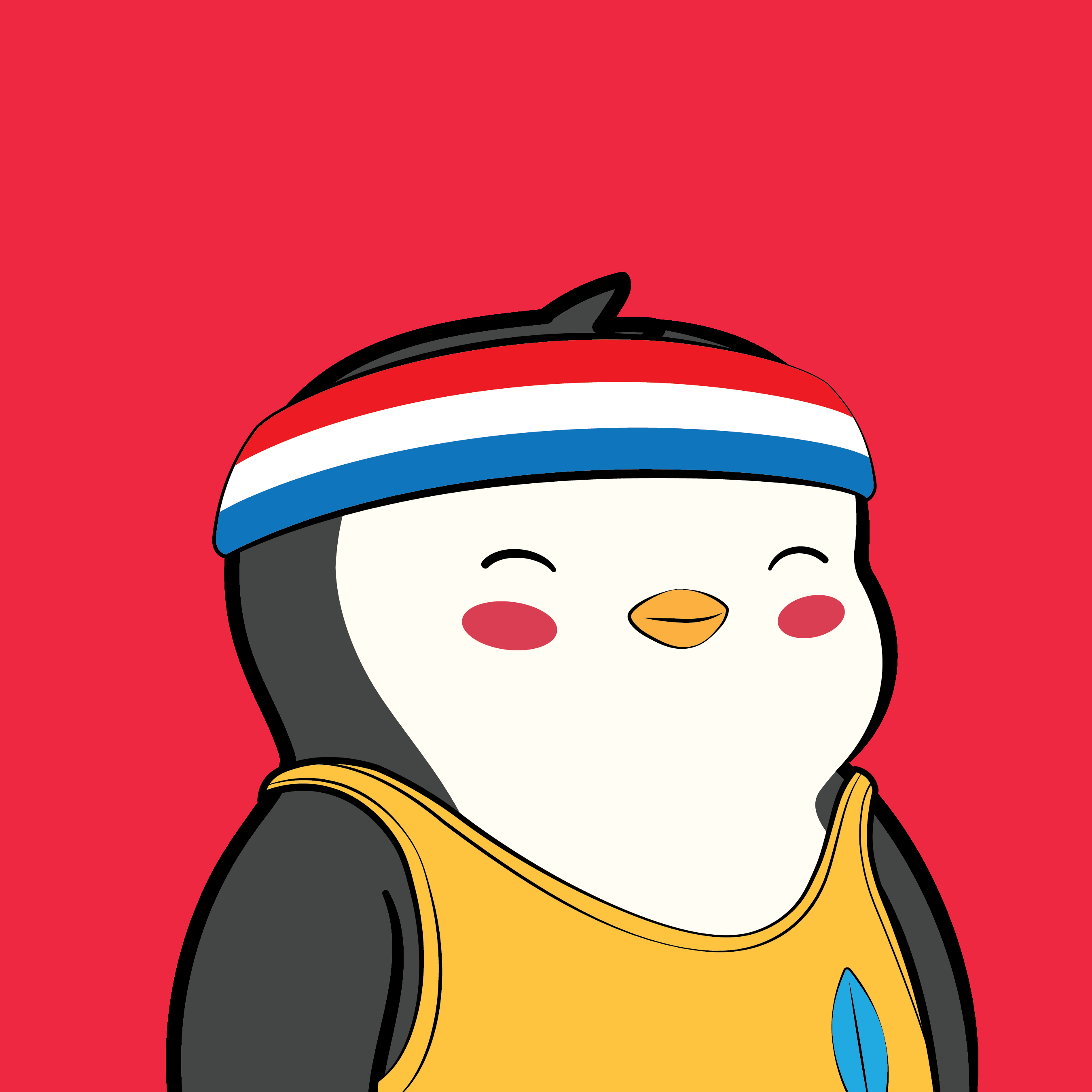 Pudgy #7655