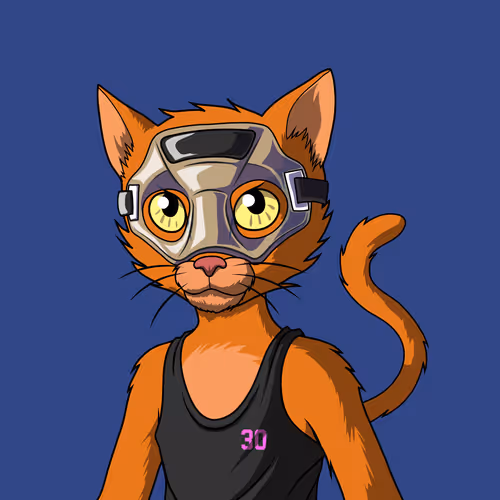 Master Cats #6101