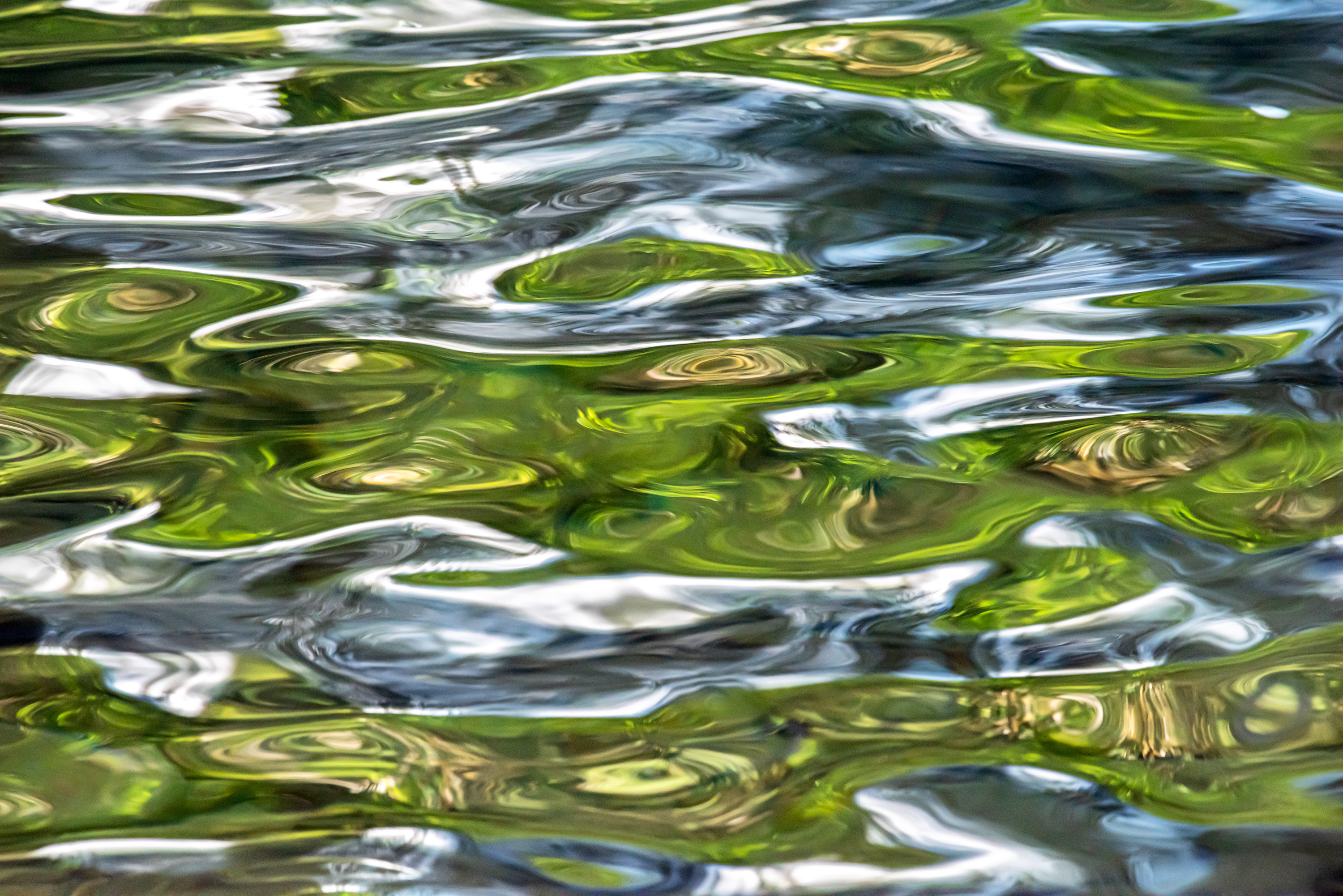 Ebb and Flow #98
