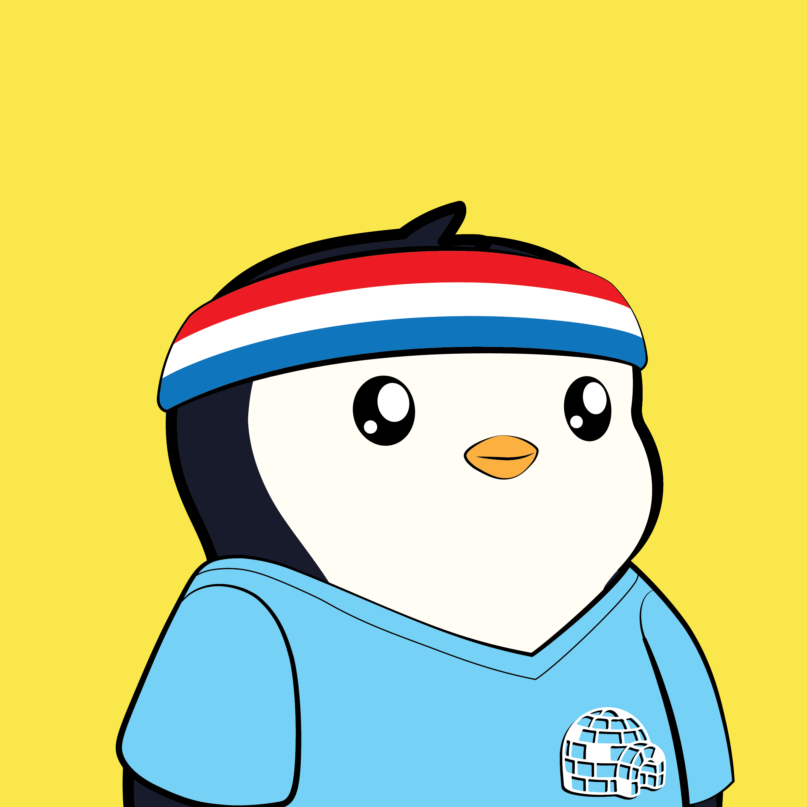 Pudgy #5290