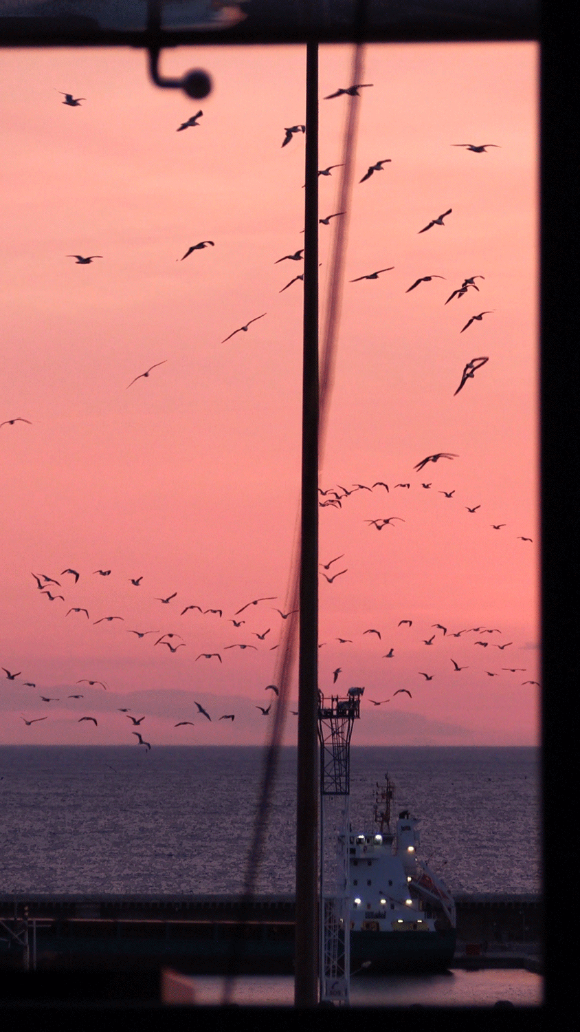 Suspended Moment