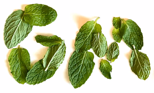 xxkt6057515.base.eth Basenames (.base.eth domains) based on ENS PFP