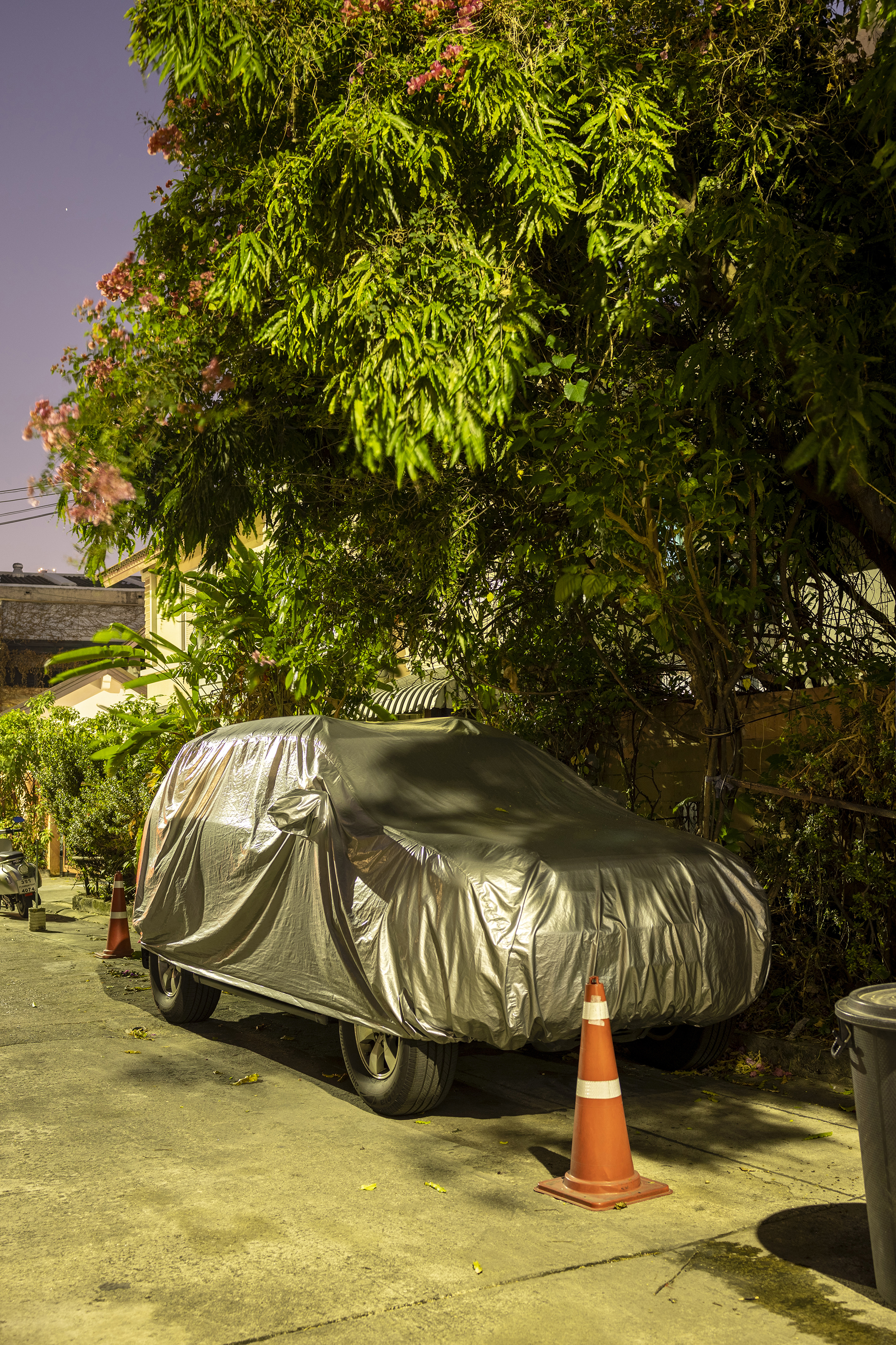 CVRD #66 by Peter Nitsch