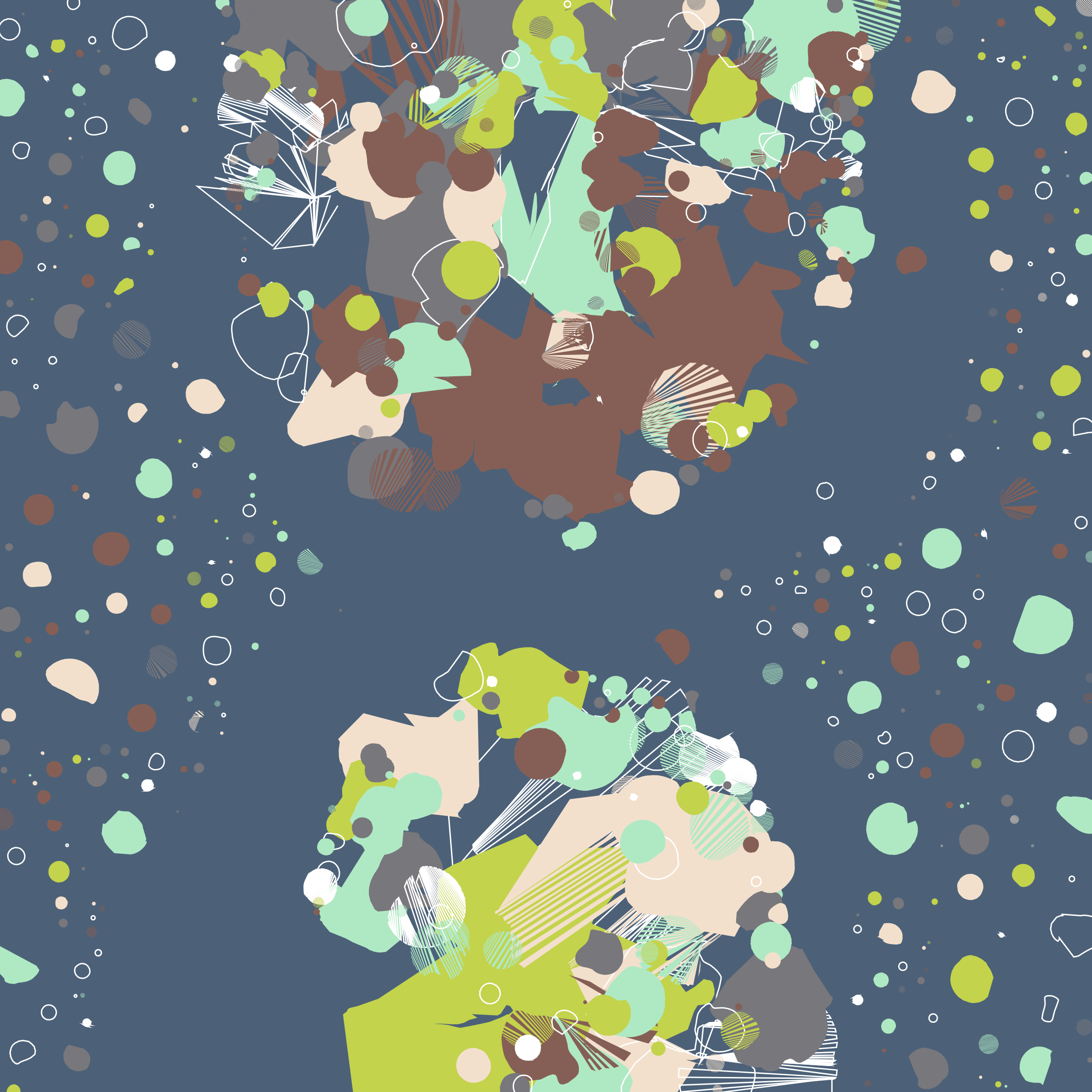 Coquina #7