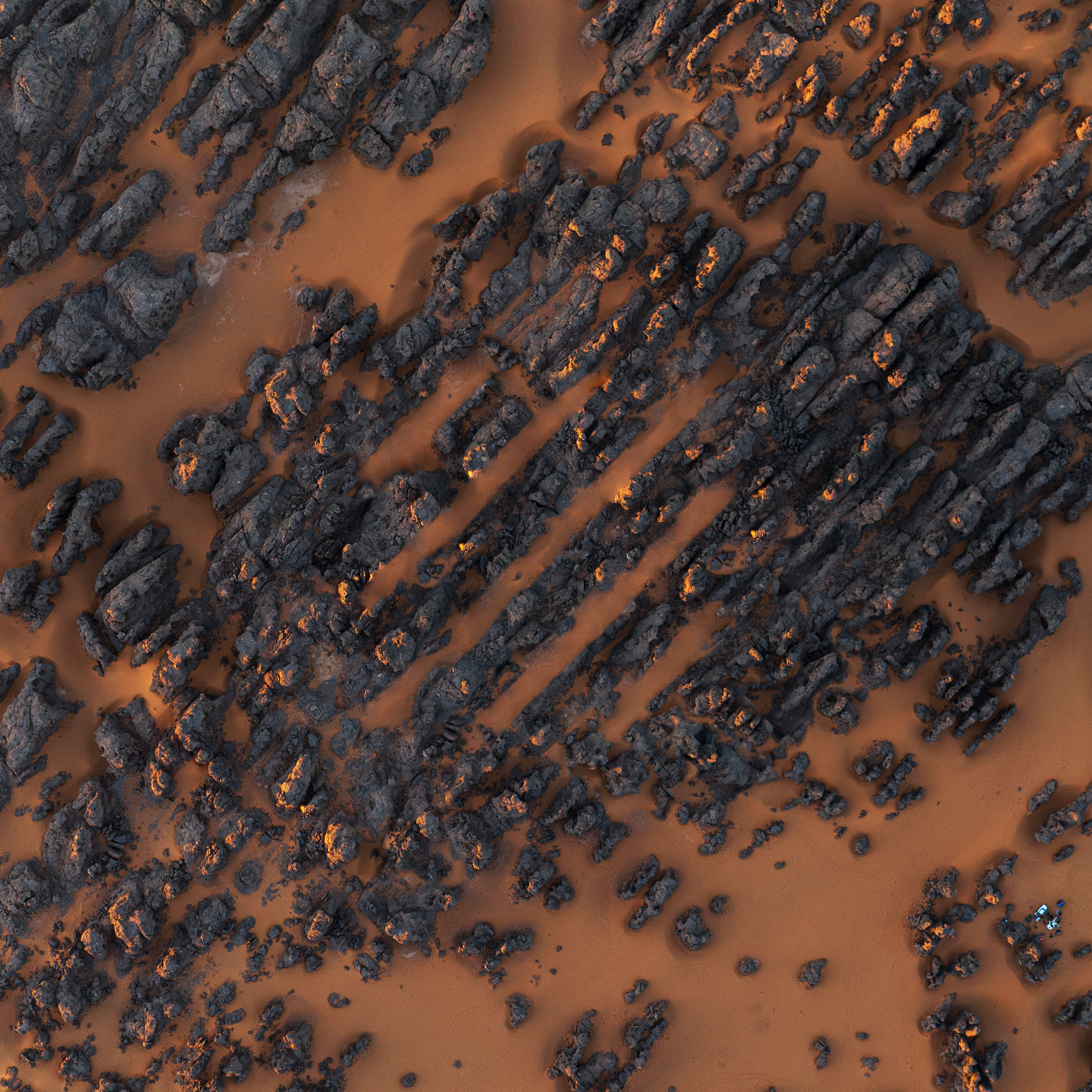 Decal by Giulio Aprin #13