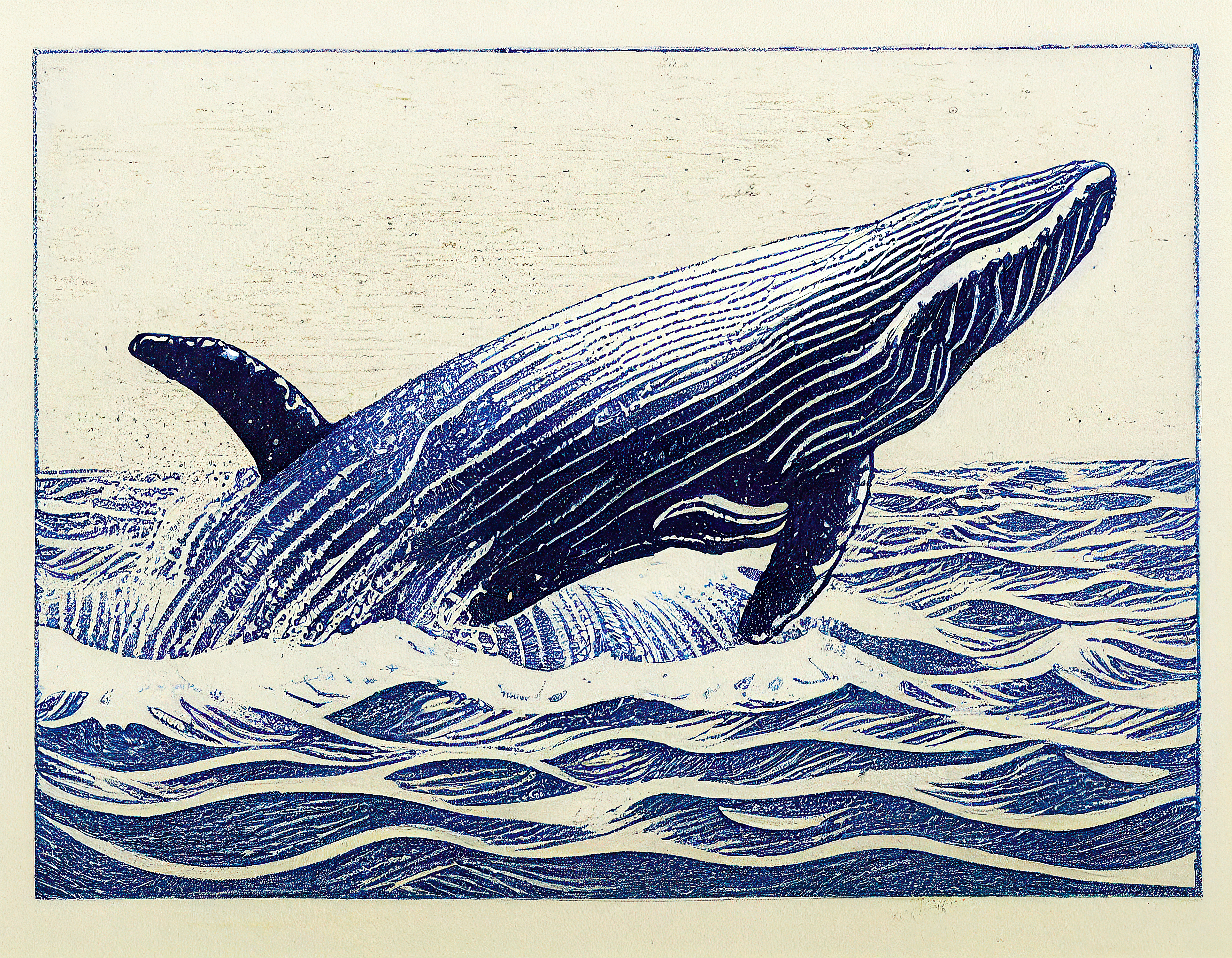 The Blue Whale