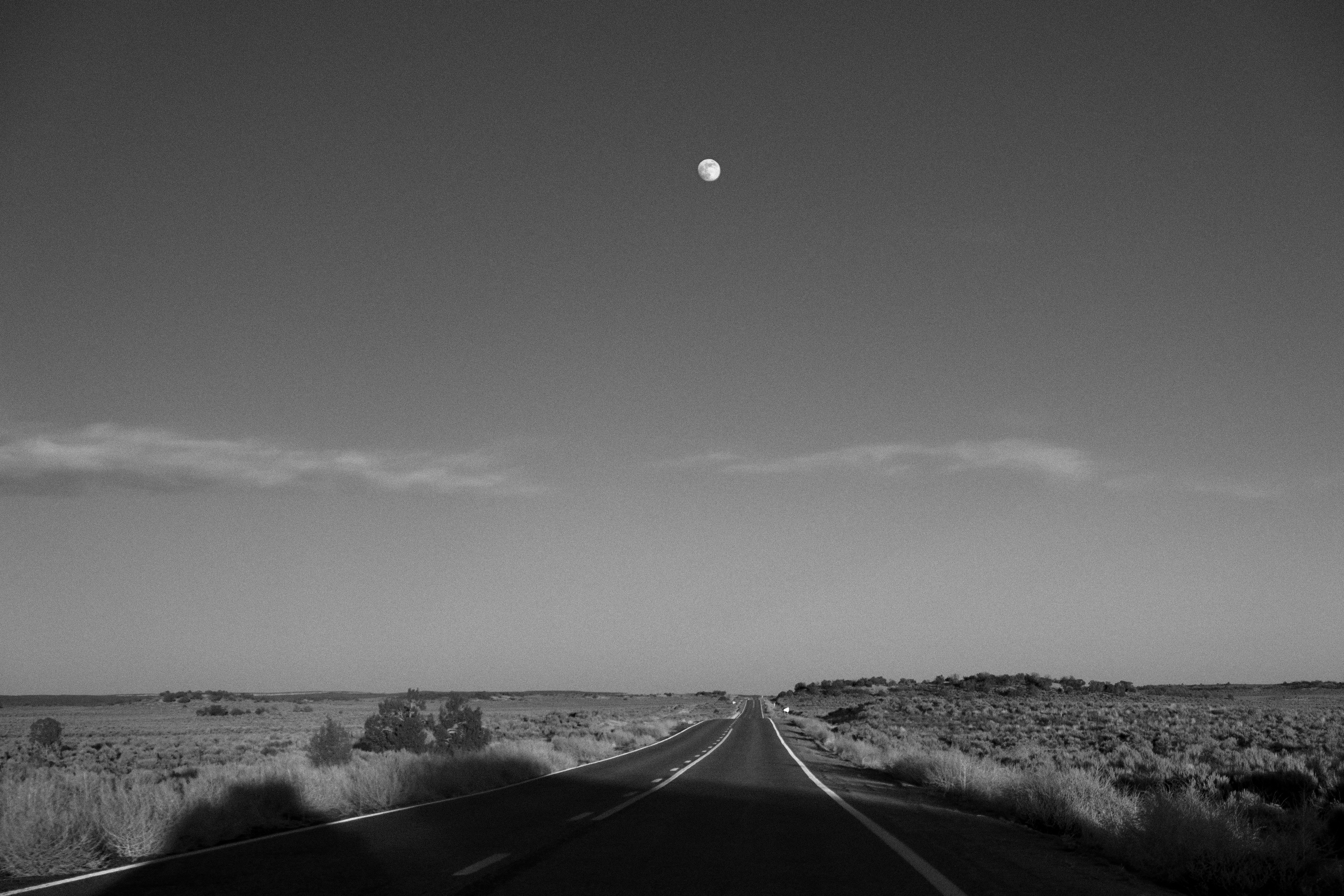 whispering secrets to the moon