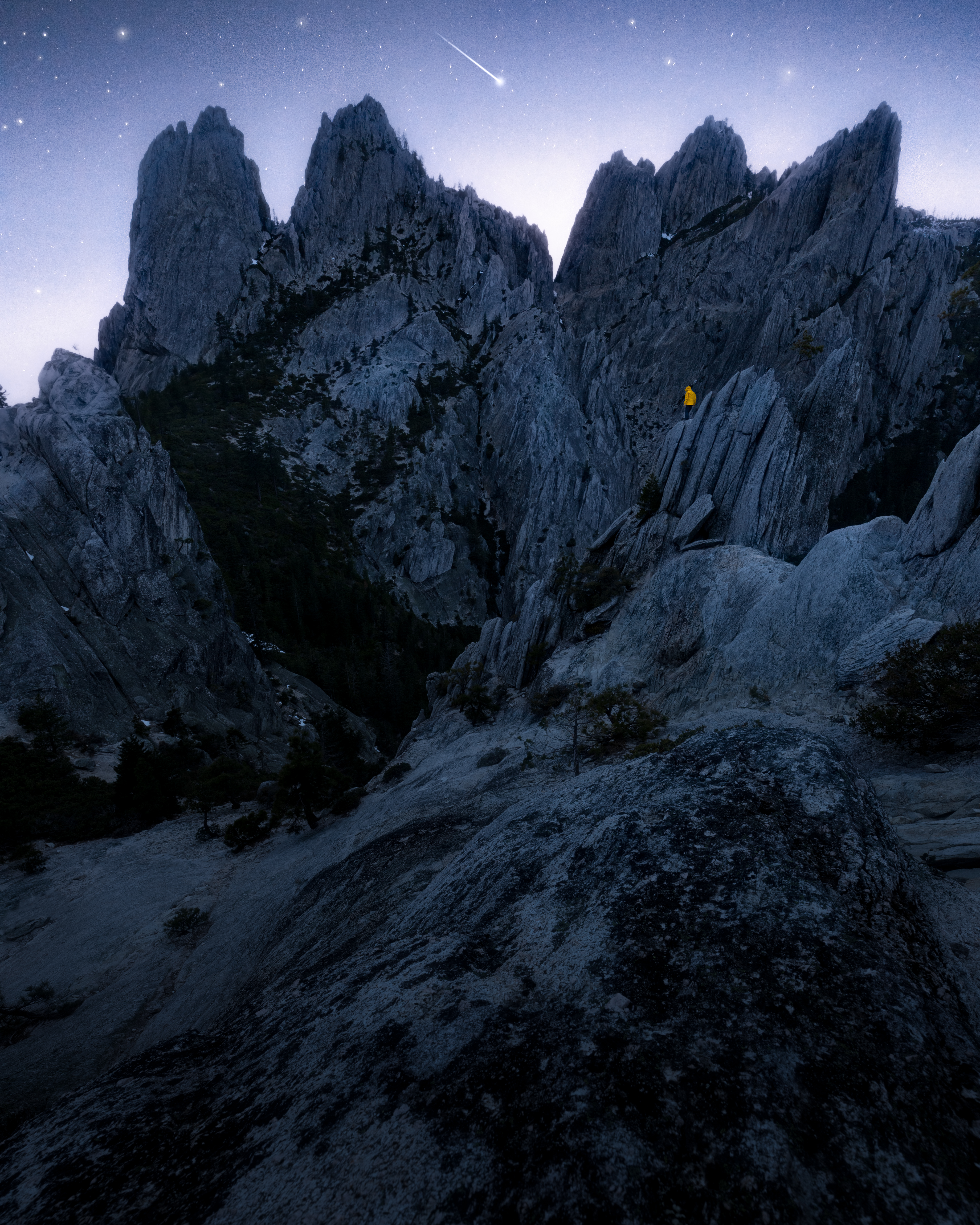 Wandering Dreams