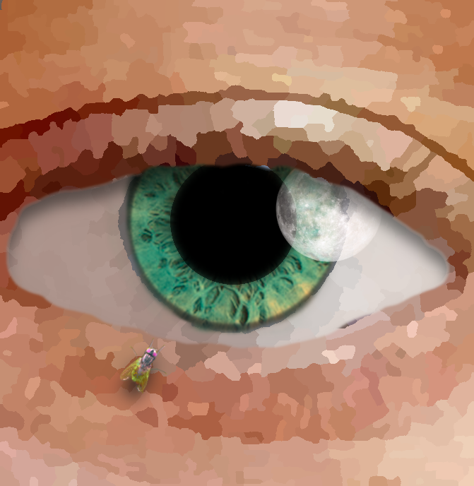 aicaii.eth Ethereum Name Service (ENS and .eth domain) PFP