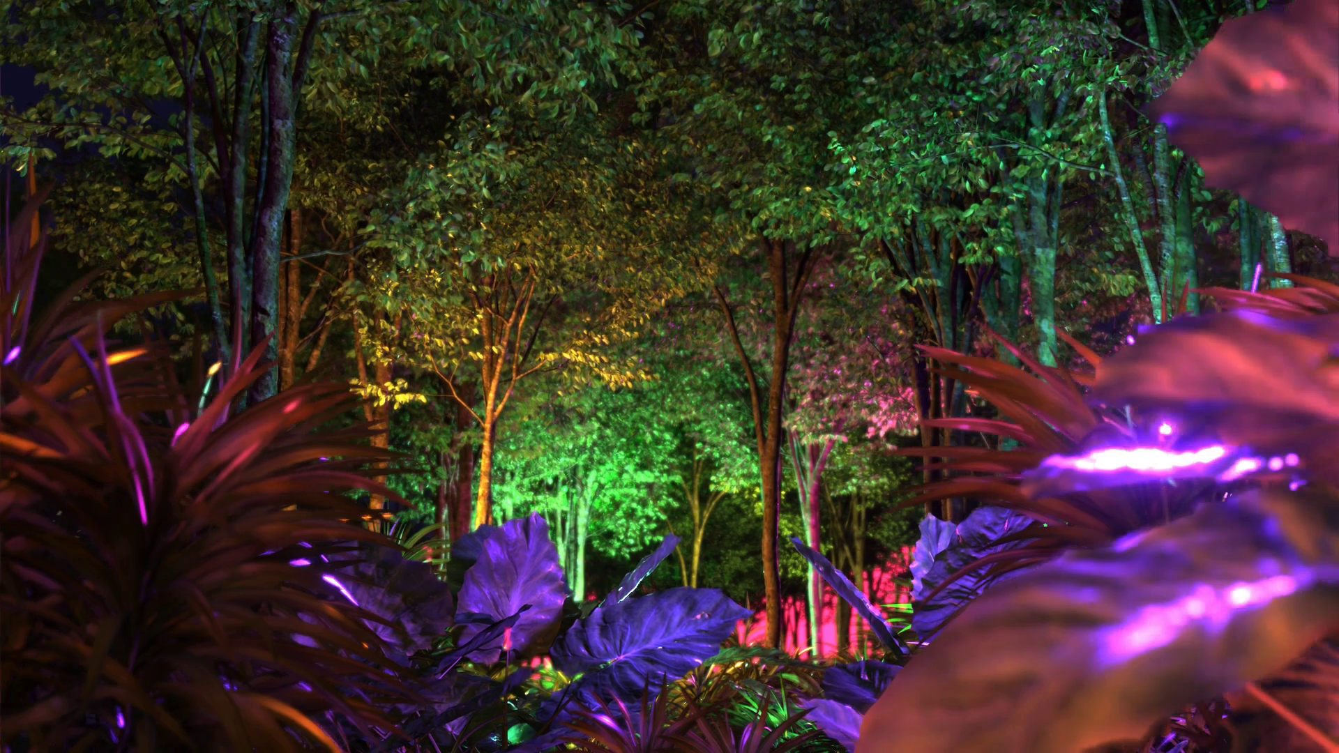 Jungle Run