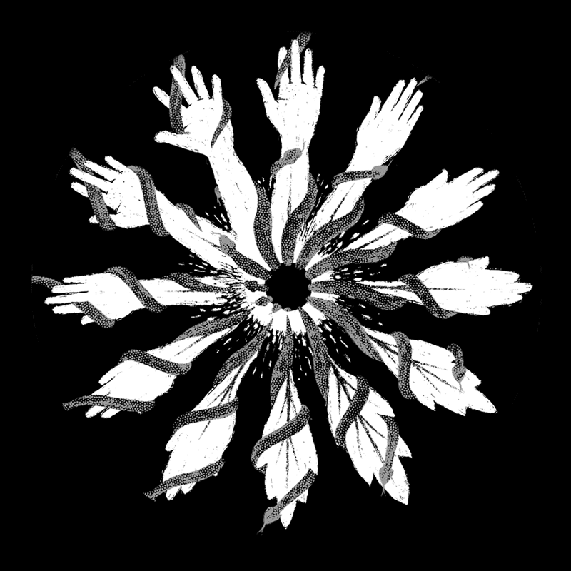 Nature's Touch / Udinì Live Phenakistiscopes