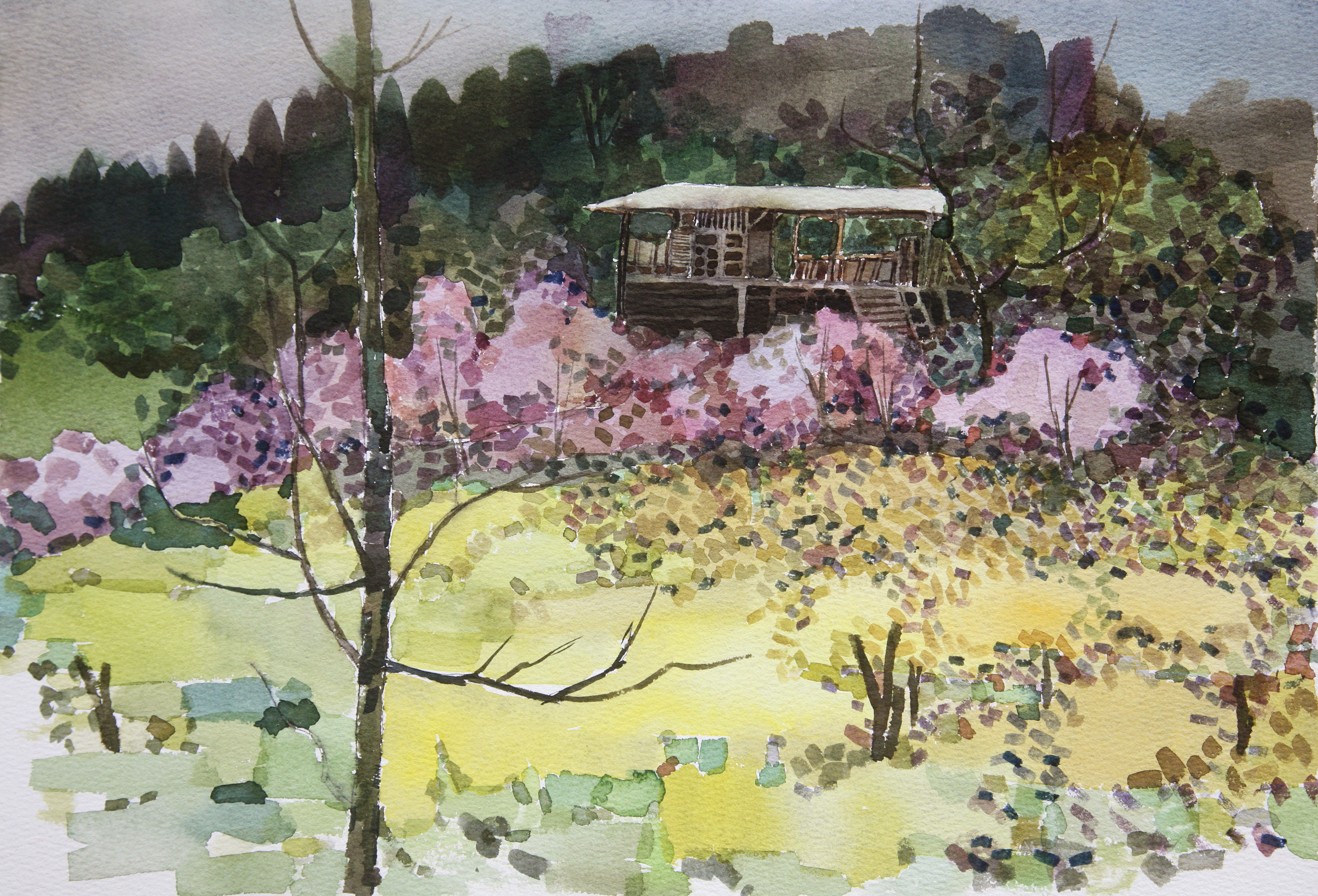 In the February countryside, all life awakens,