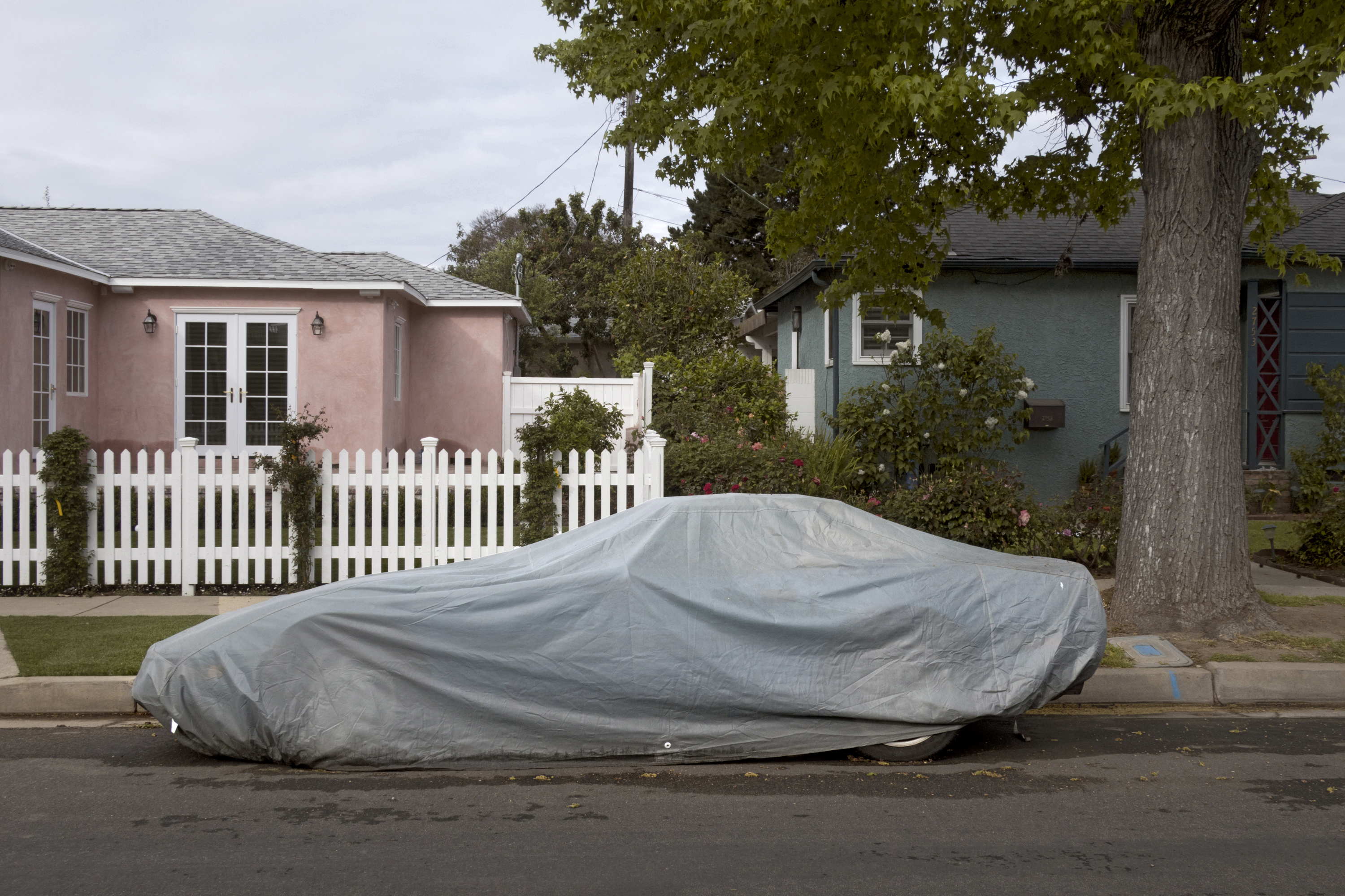 CVRD #29 by Karin Apollonia Müller