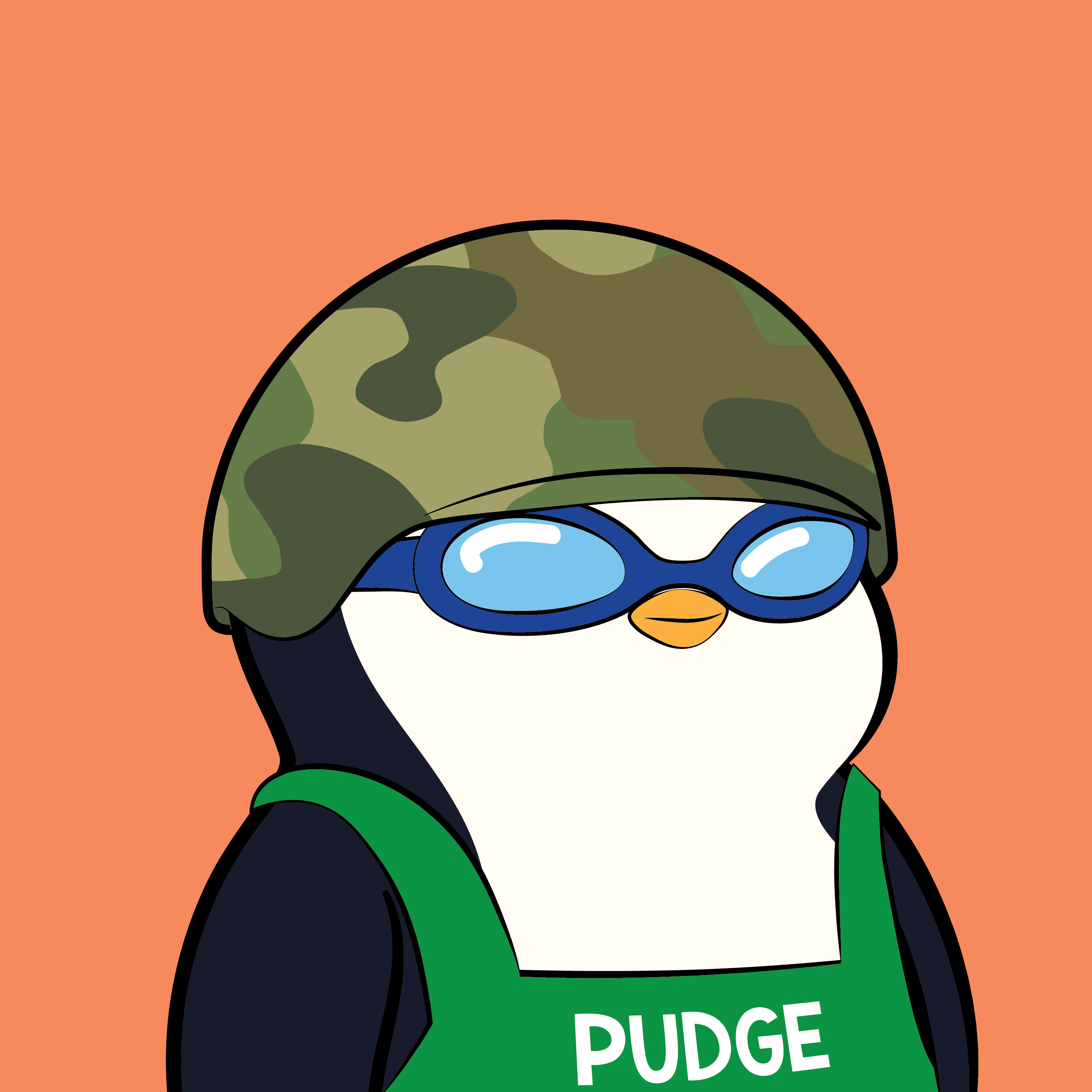 Pudgy Penguin #1384