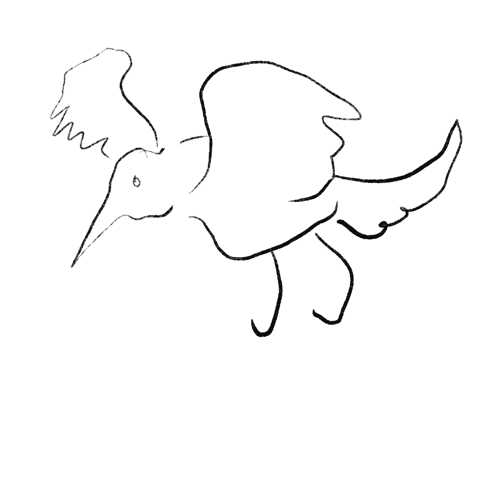 Bird