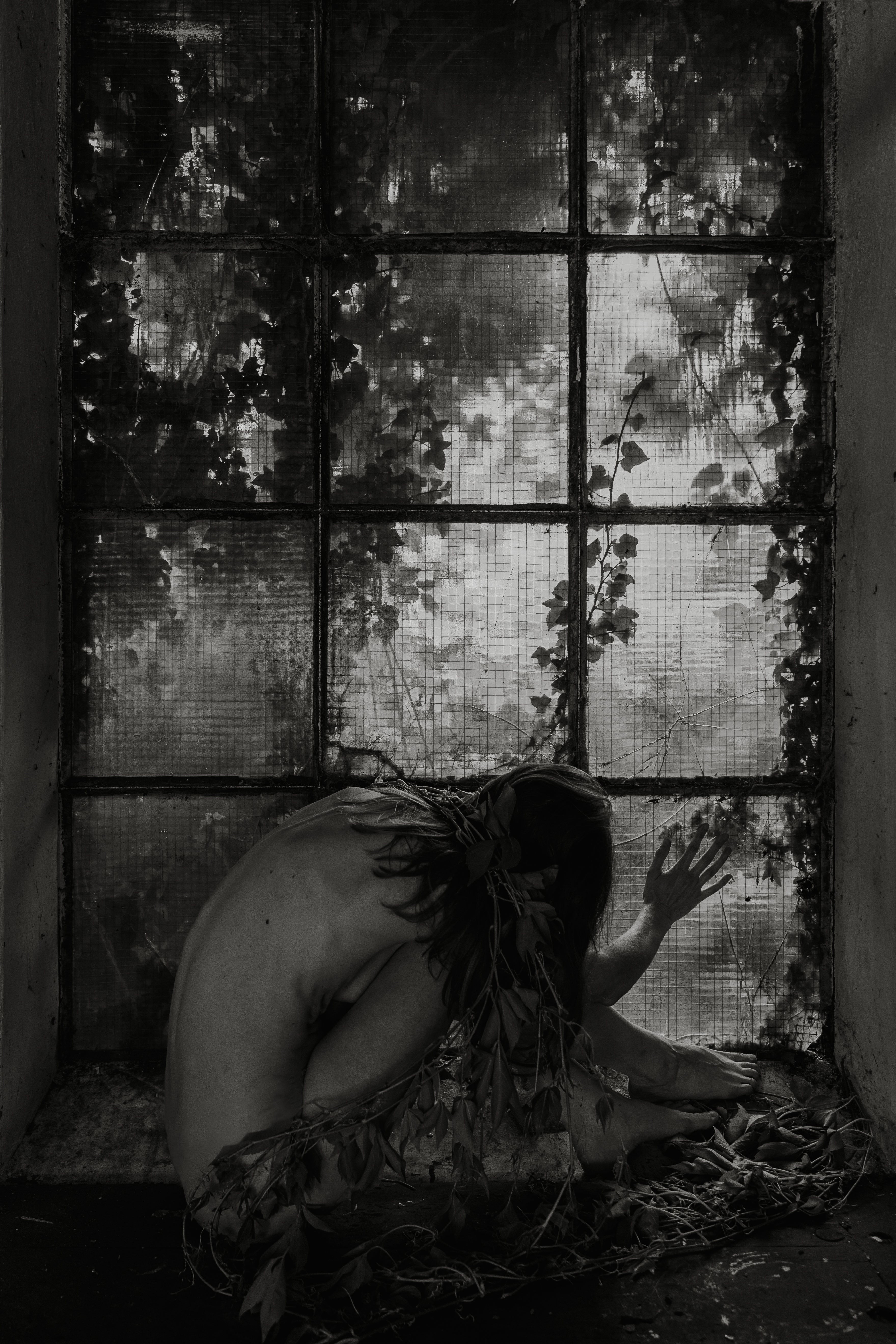 Nature's Remembrance 10