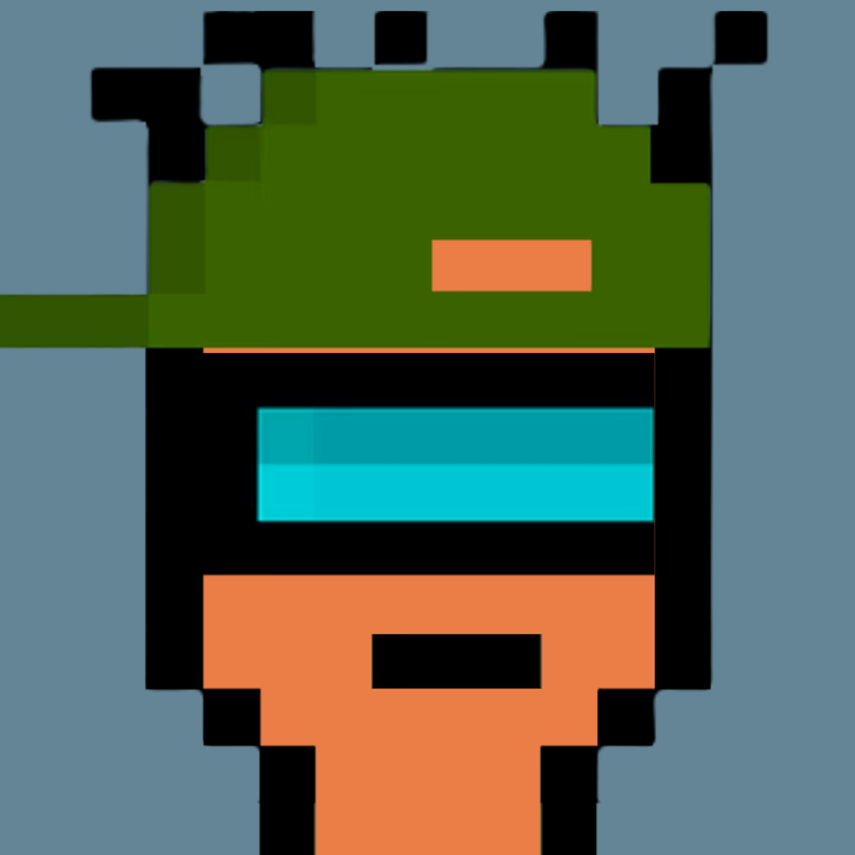 Nakamigo Punks #2017