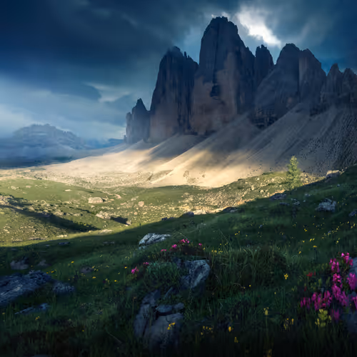 Wilderness to Blockchain #76 - Summer drama 