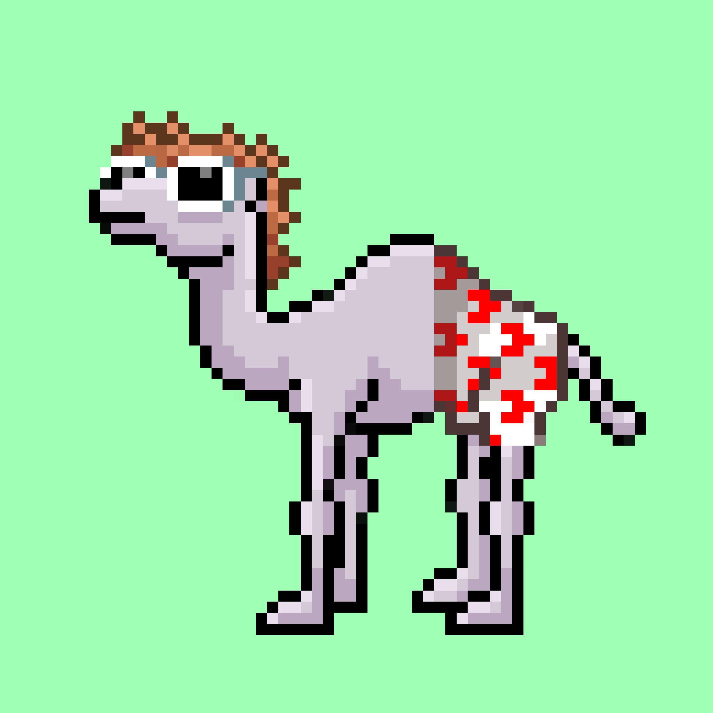 CryptoCamels #1704