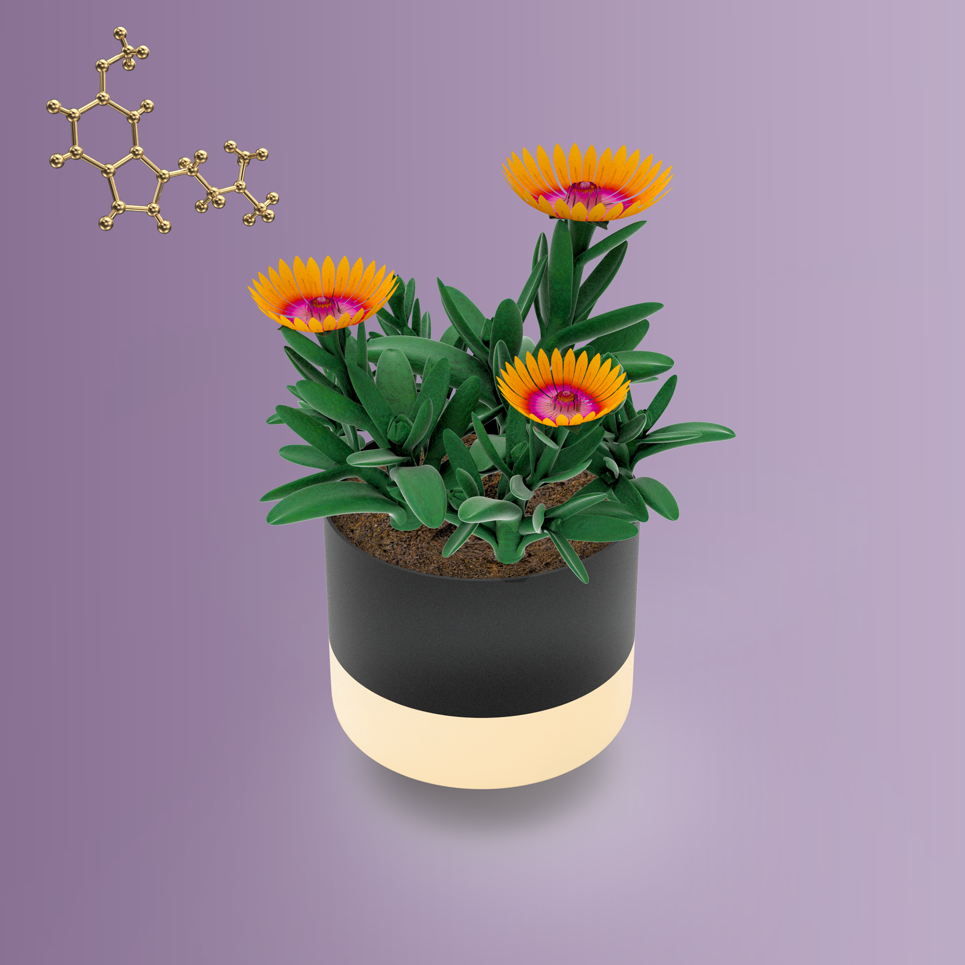 ∆FLORA #524