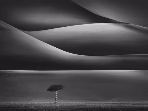 In To The Light 3/24