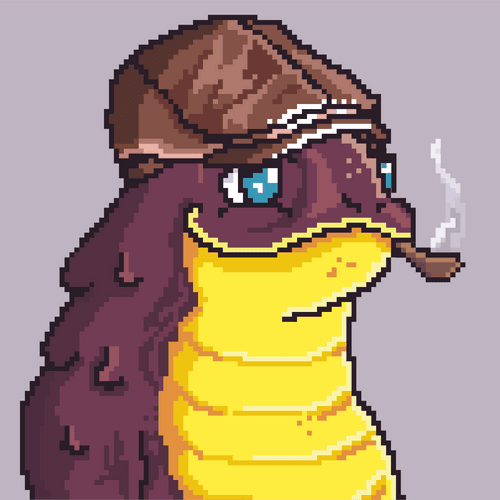 Funky Salamanders #321