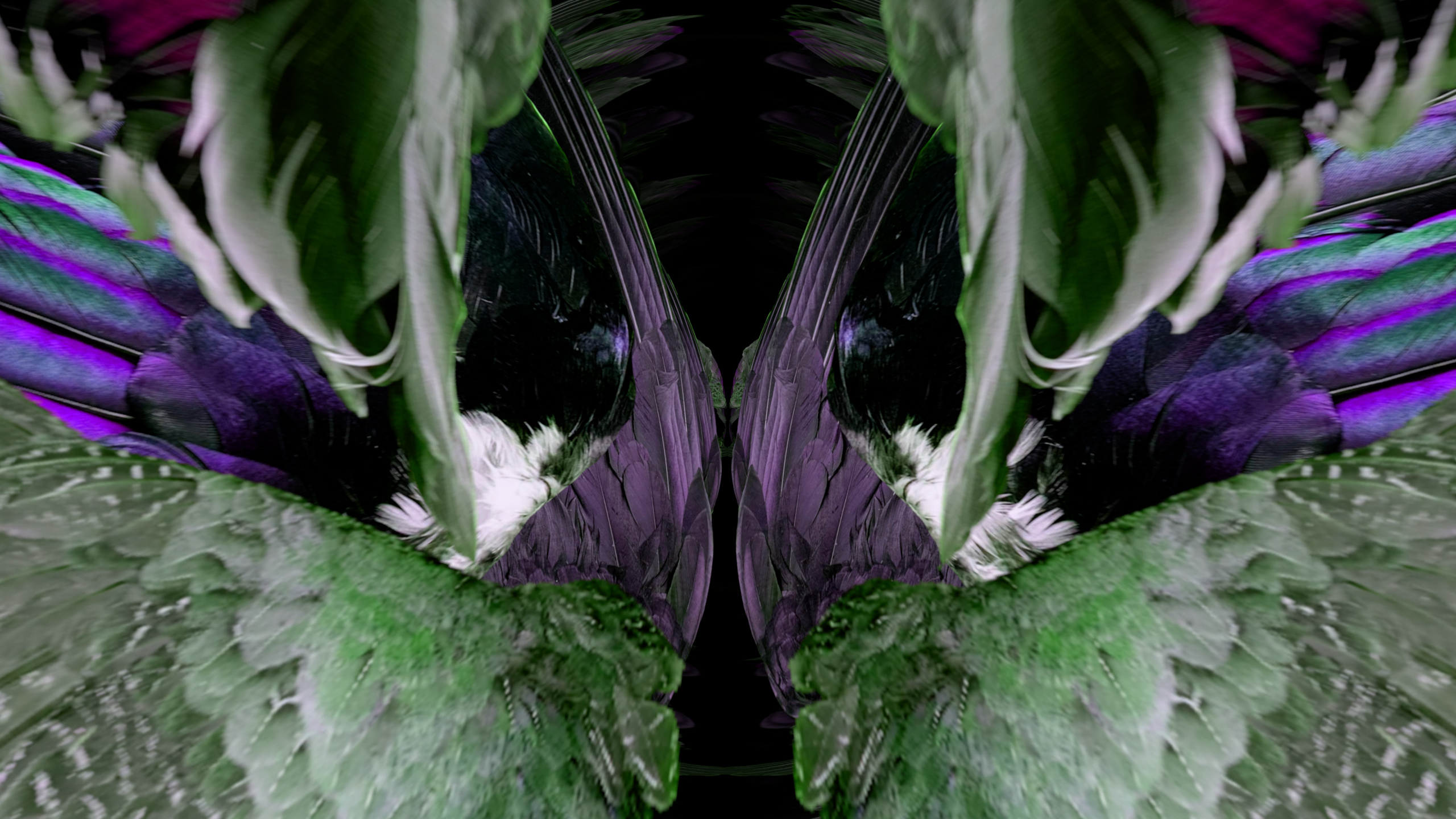 Fuga delle Sirene LXXII