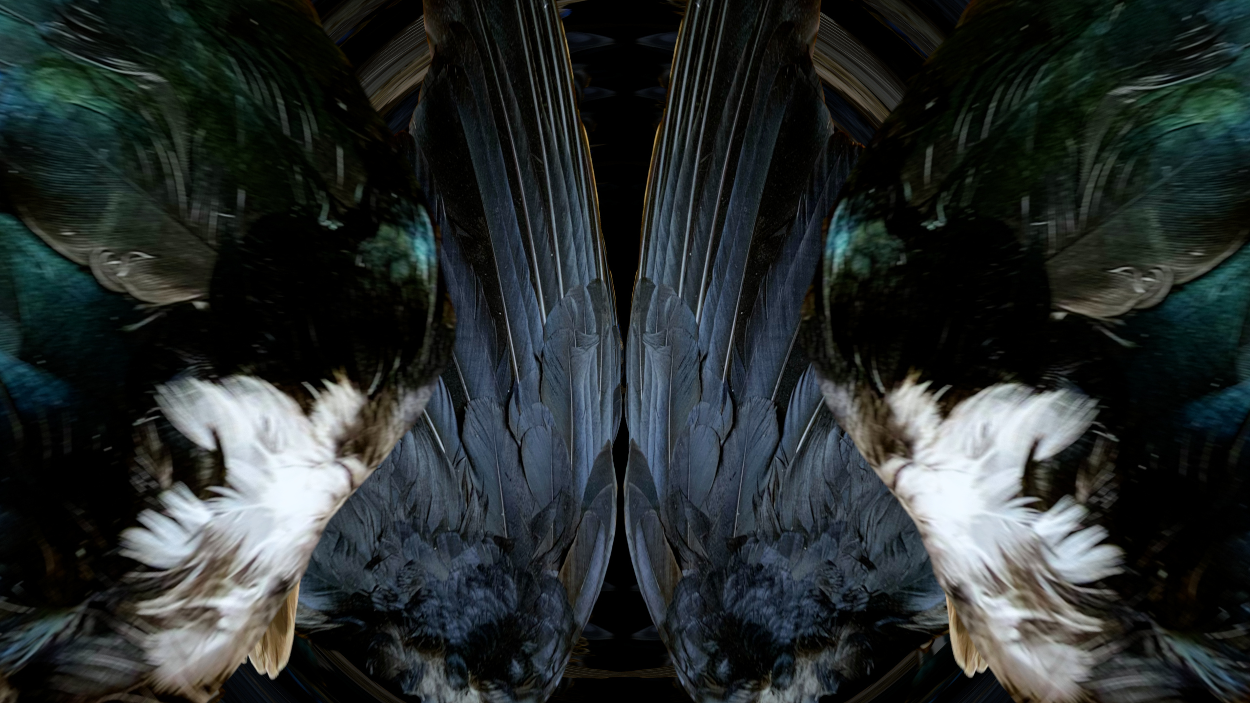 Fuga delle Sirene XV