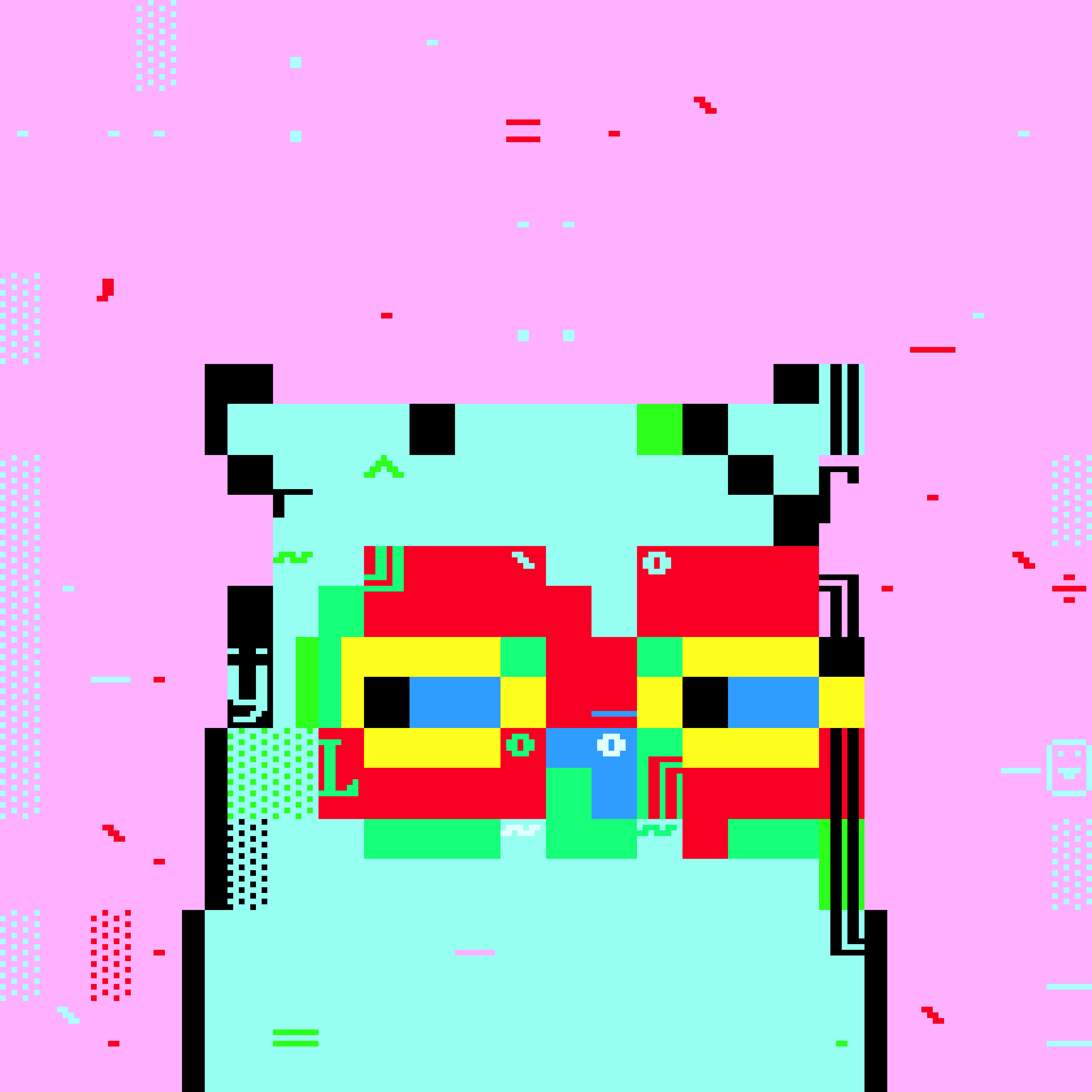 DOS TRASH BIRD 246