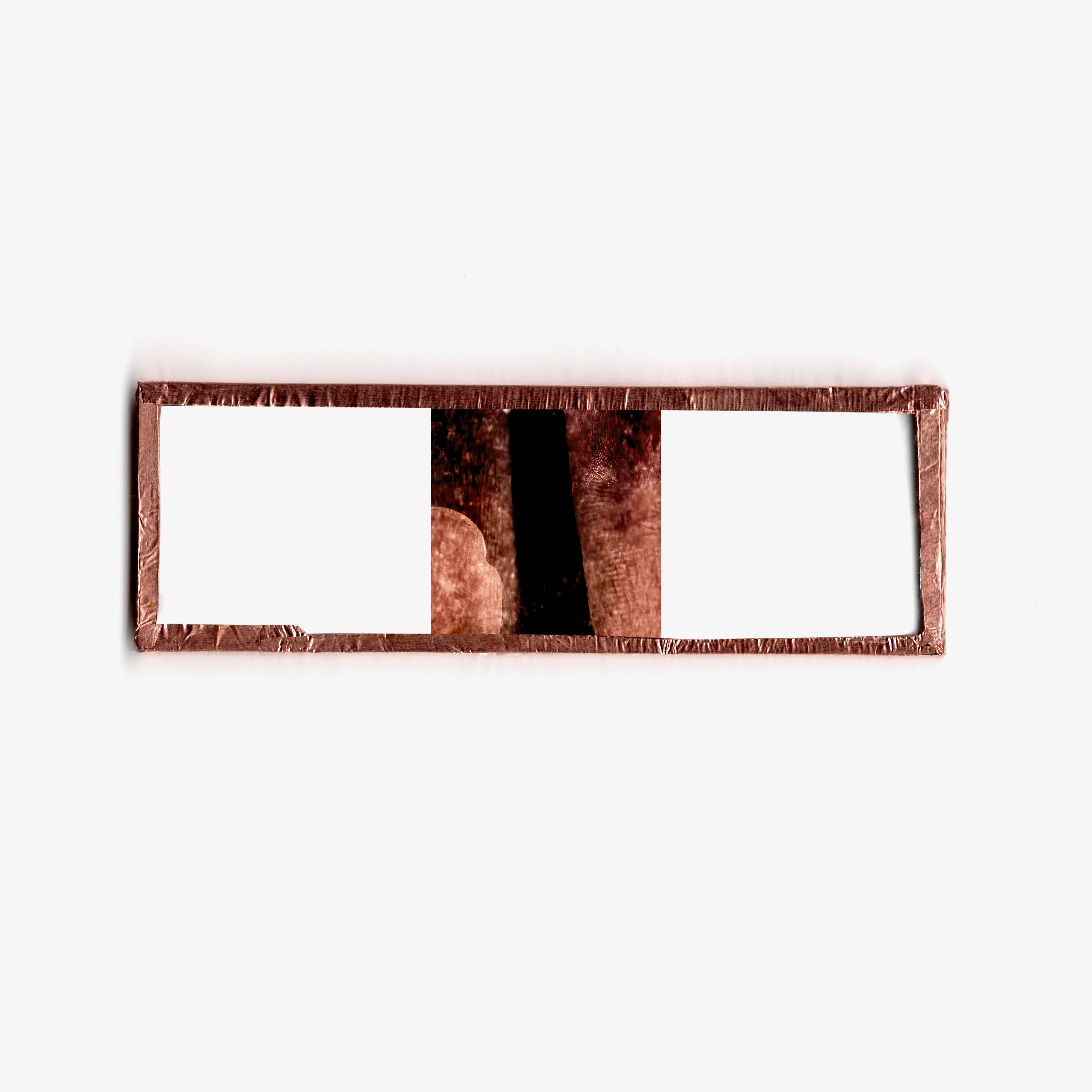 GXF MICRO-SLIDE FINGERPRINT