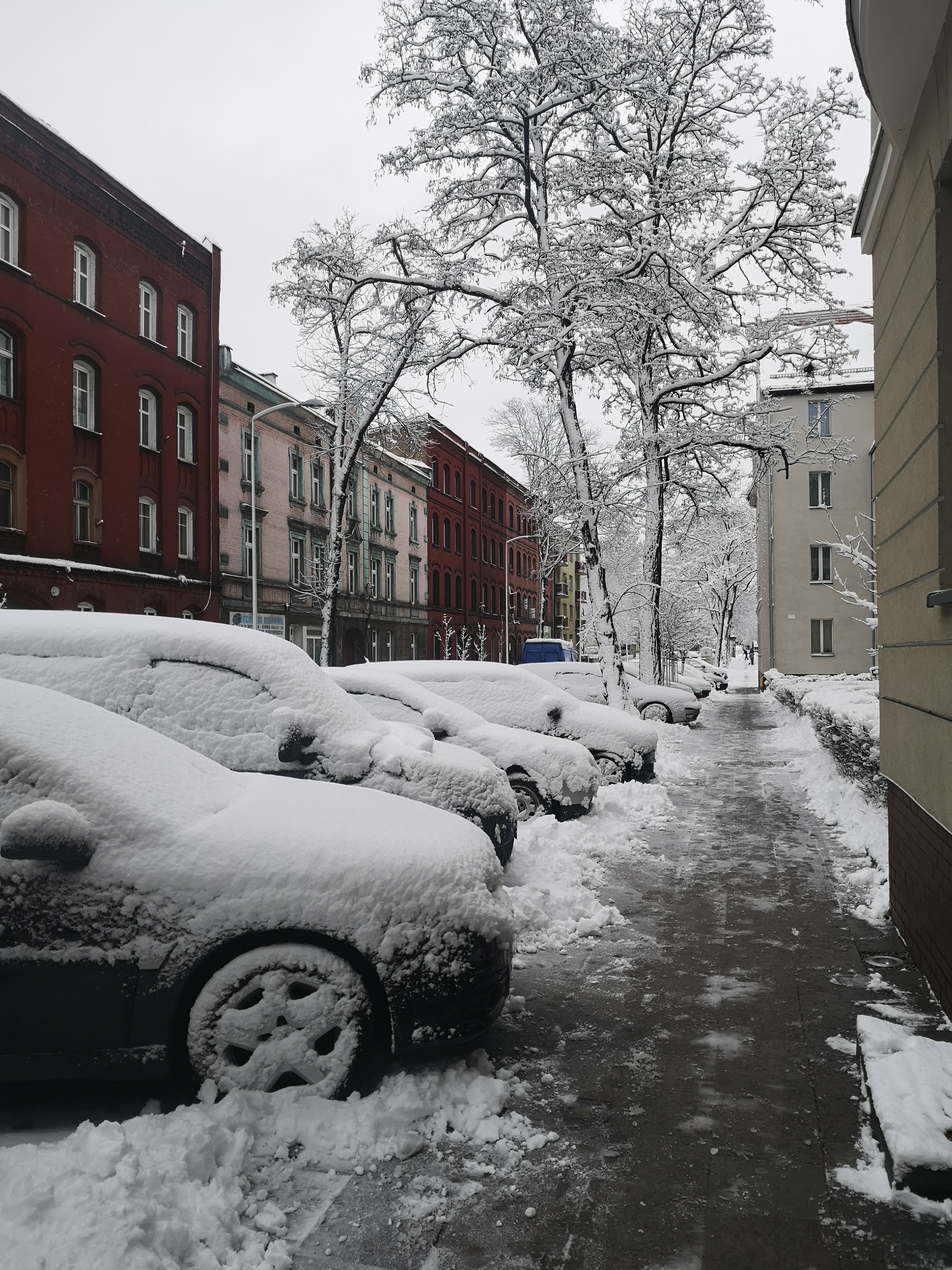 Winter