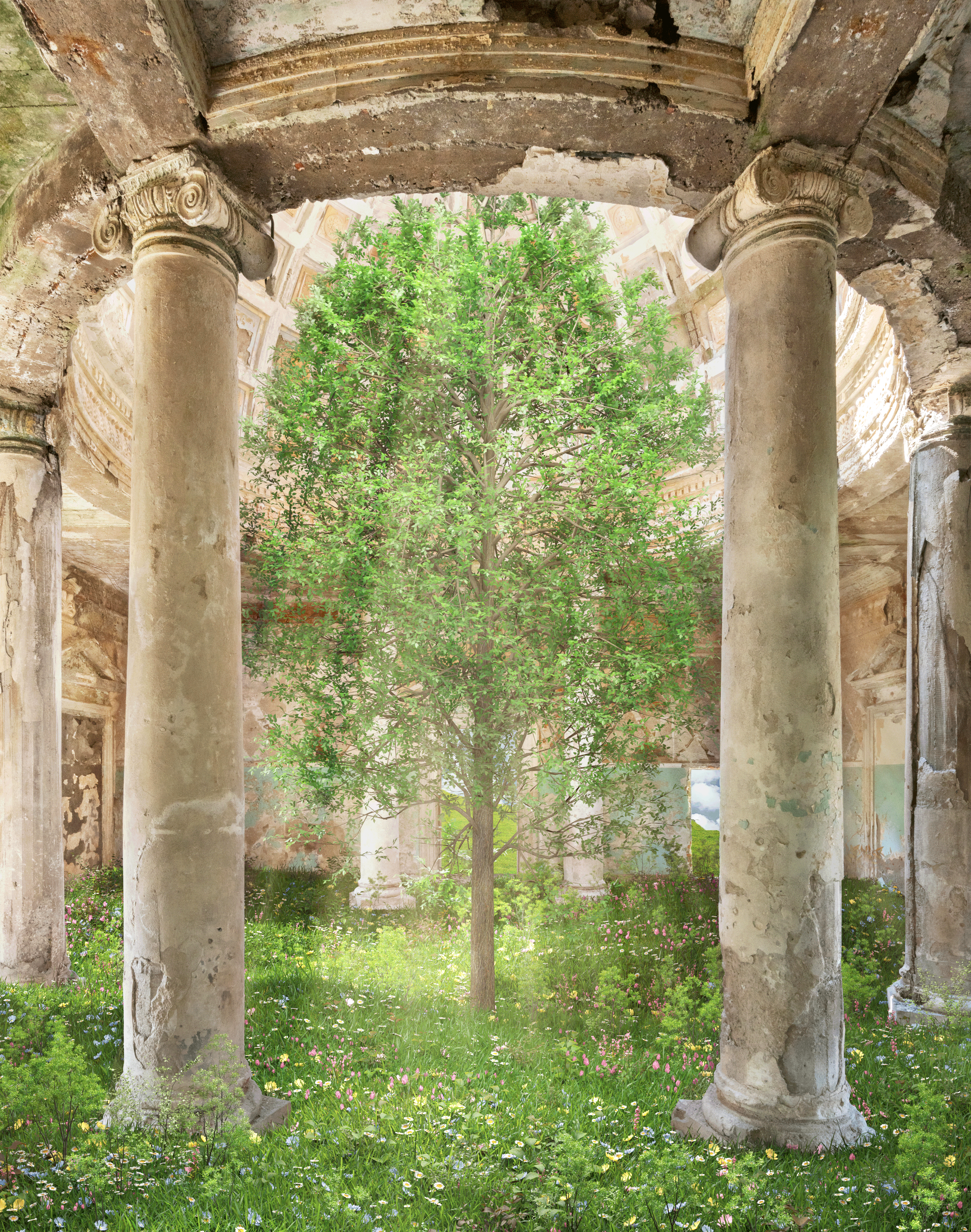 PHASES: RYAN KOOPMANS