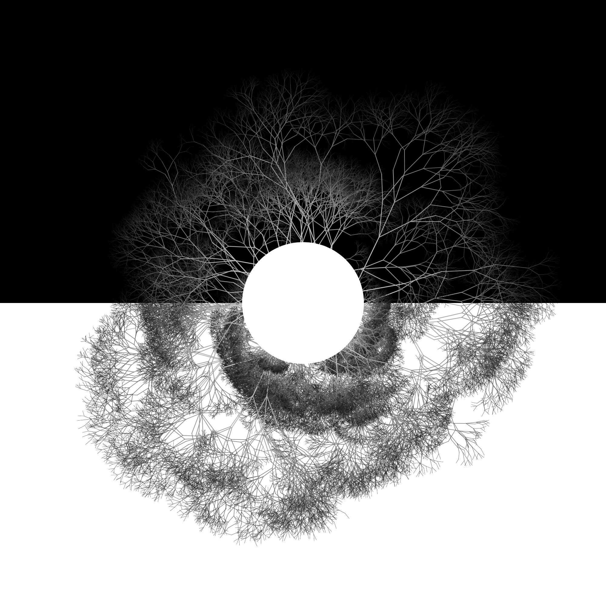 Black and white fractal