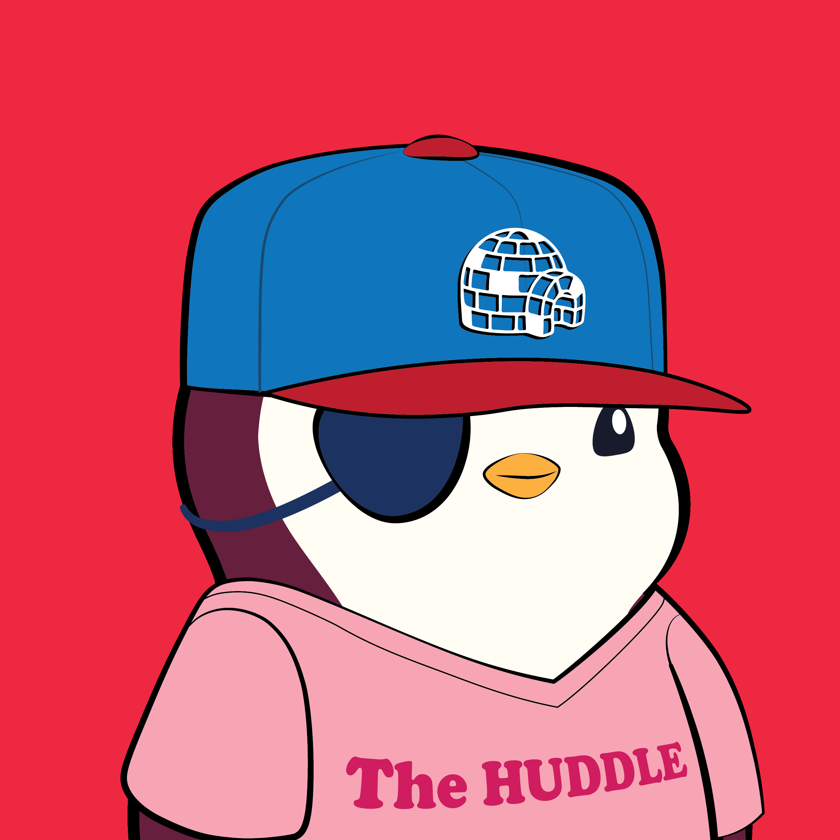 Pudgy #5748