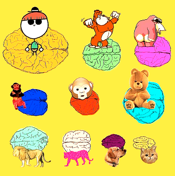 datadada.set - for mentalista