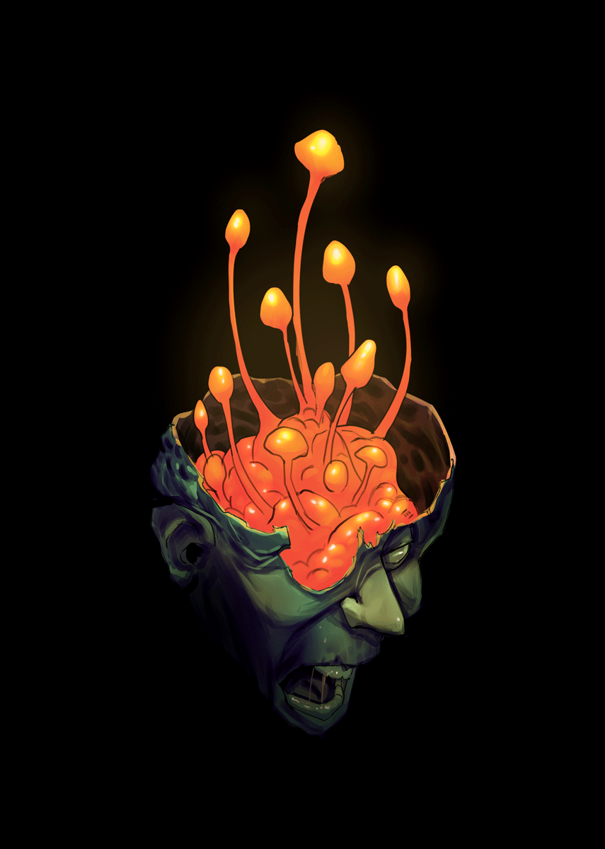Psychocibe cerebrata