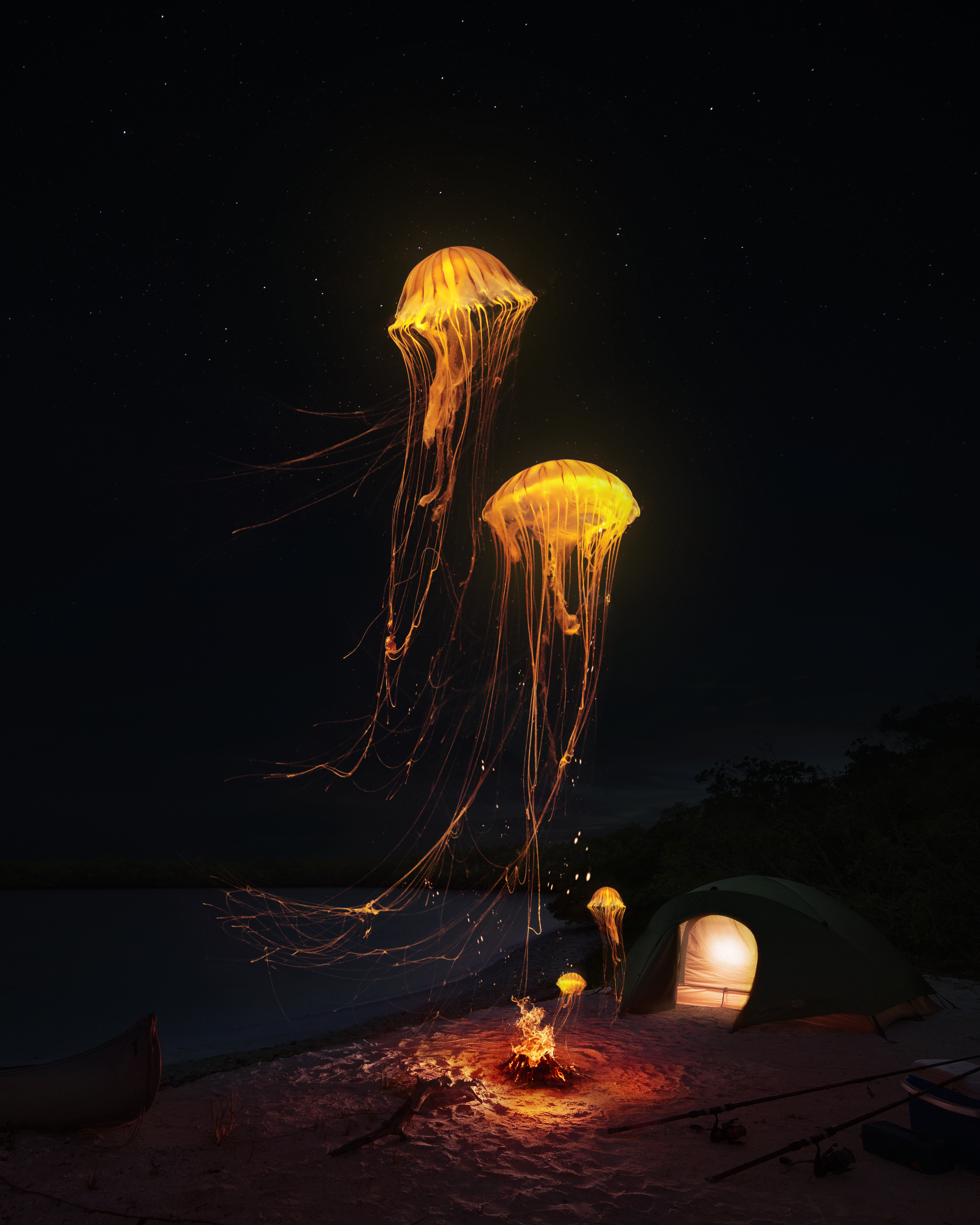 Summer Nights #74/120