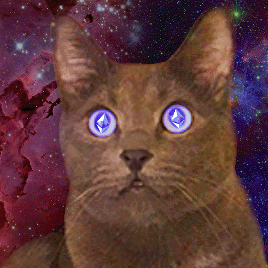 Catz on ETH