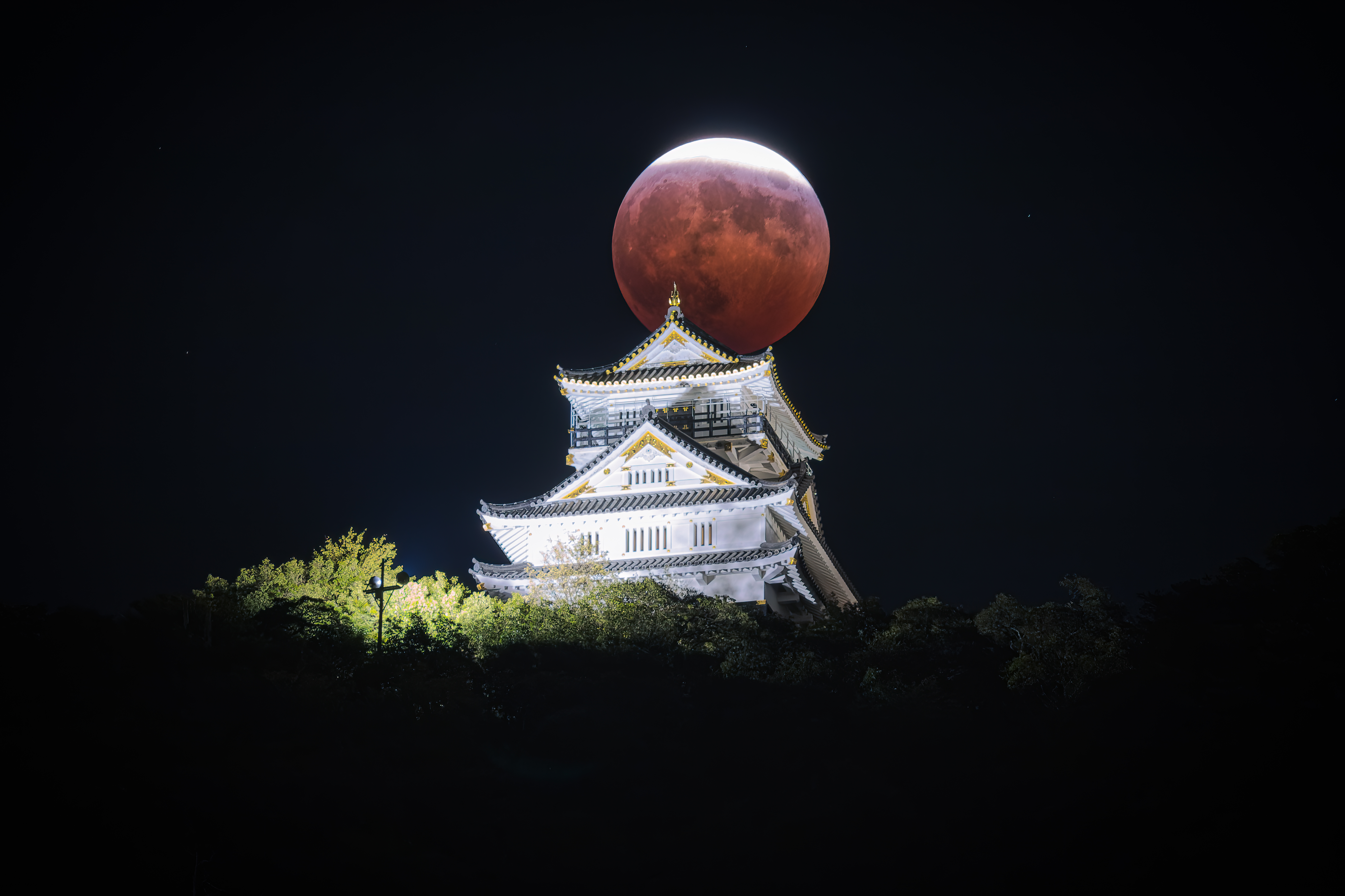 Lunar Eclipse Night