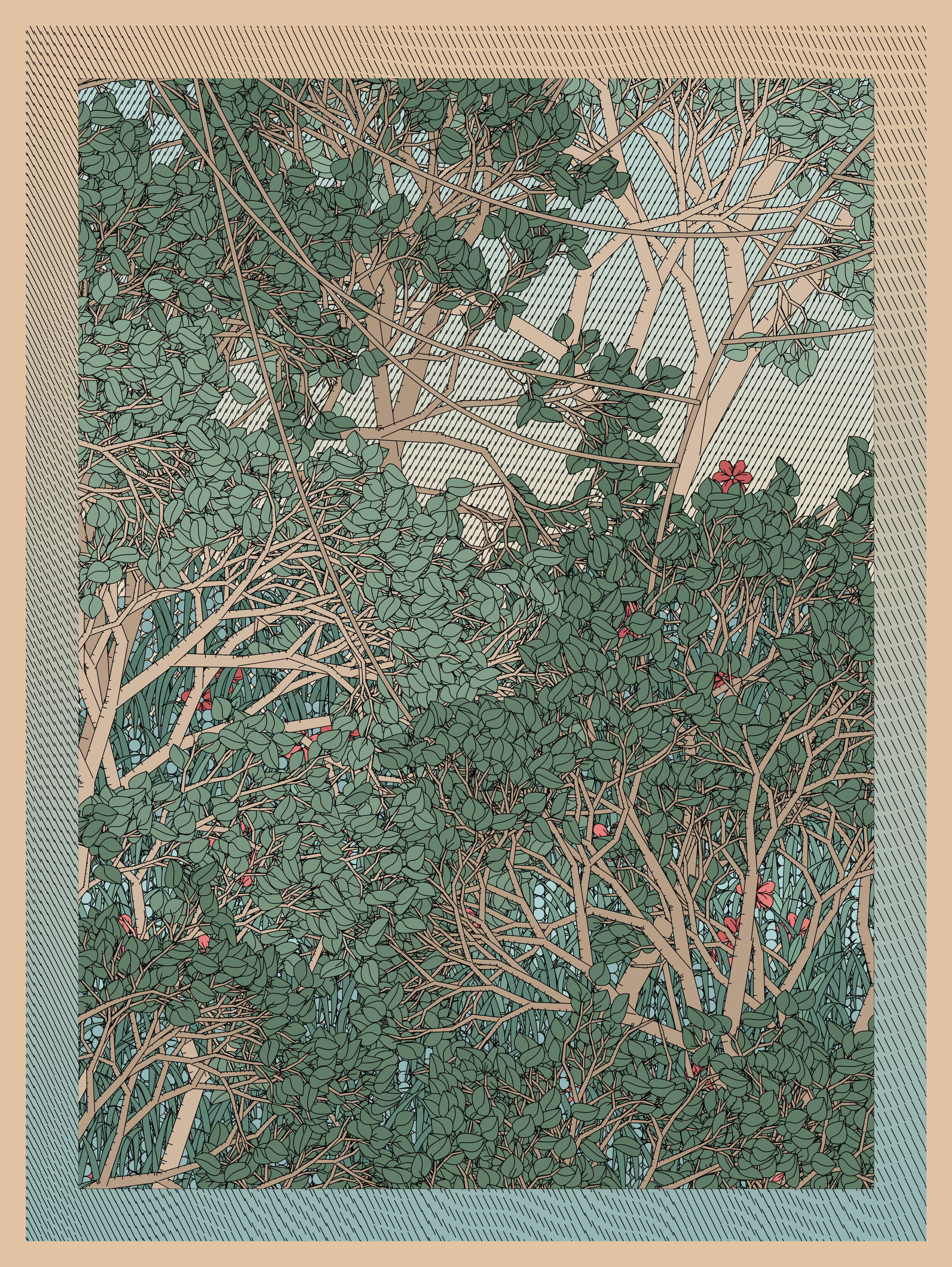 Entangled #295